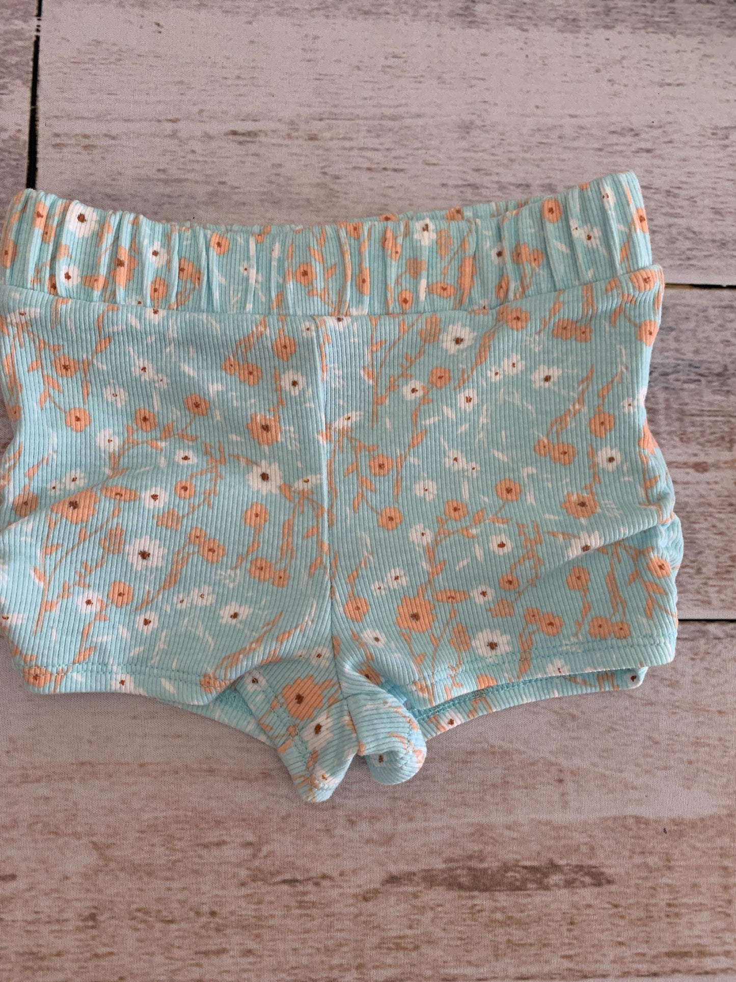 Art Class Girls Light Blue | Flowers | orange Shorts Size: 12M Light Blue | Flowers | orange