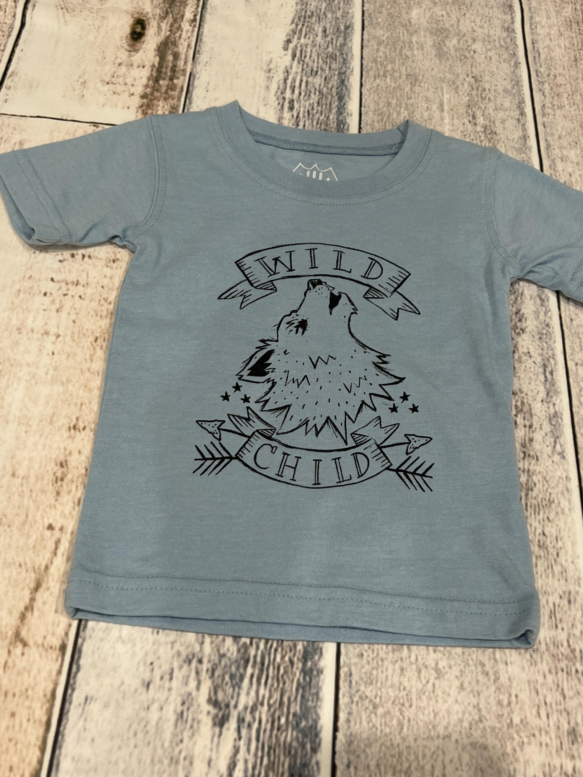 Wes and Willy Boys Light Blue | Graphic T-Shirt Size: 12 months Light Blue | Graphic