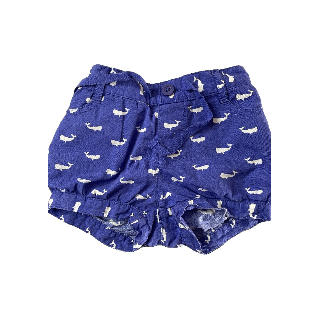 Gap Girls Light Blue | White Shorts Size: 12-18 months Light Blue | White