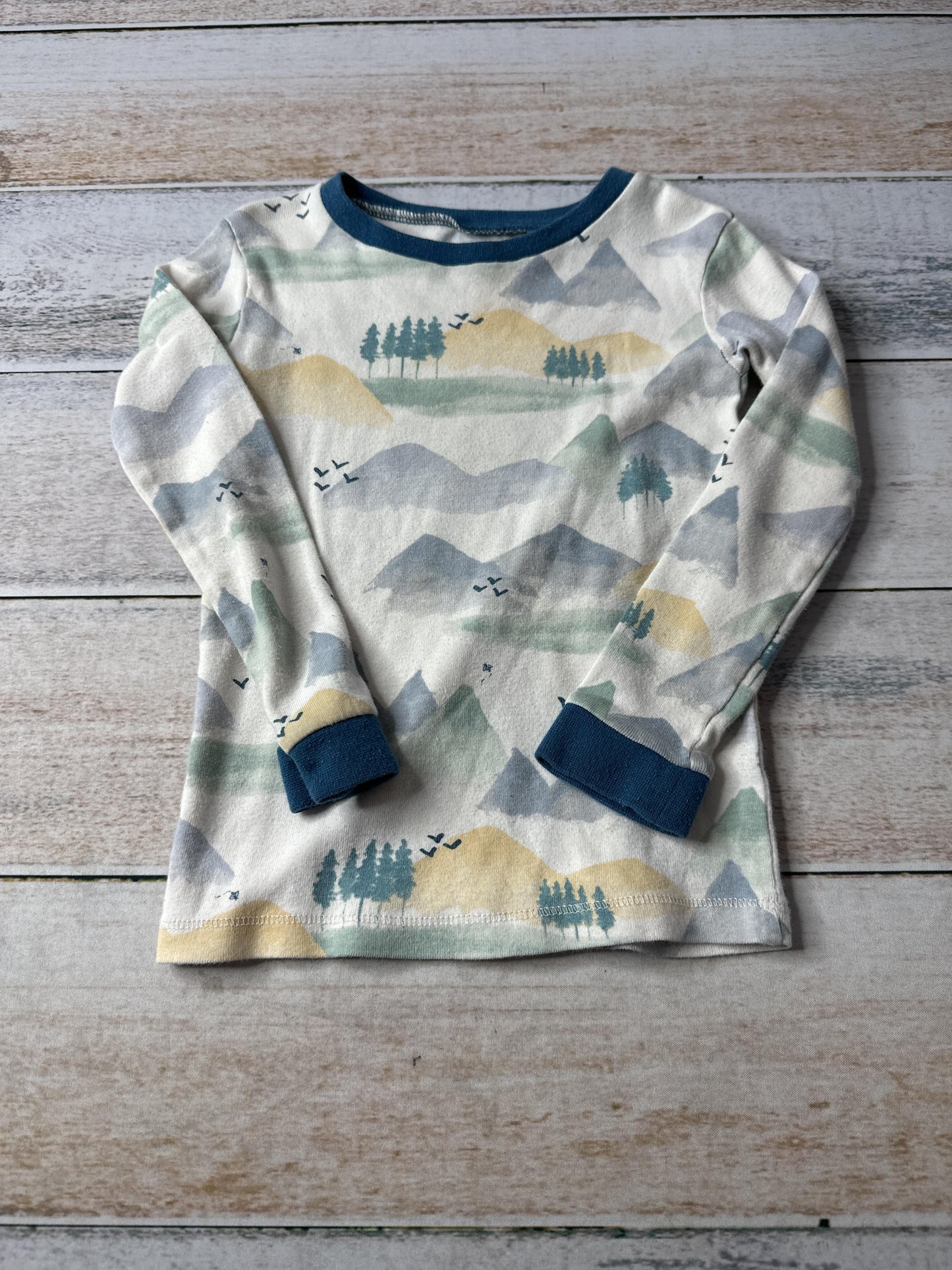 Burt's Bees Boys Light Blue | Yellow | green Pajamas Size: 3T Light Blue | Yellow | green