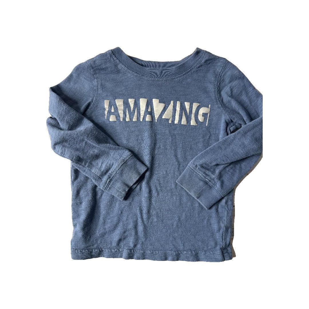 Carters Unisex Light Blue Long Sleeve T-Shirt Size: 24 months Light Blue