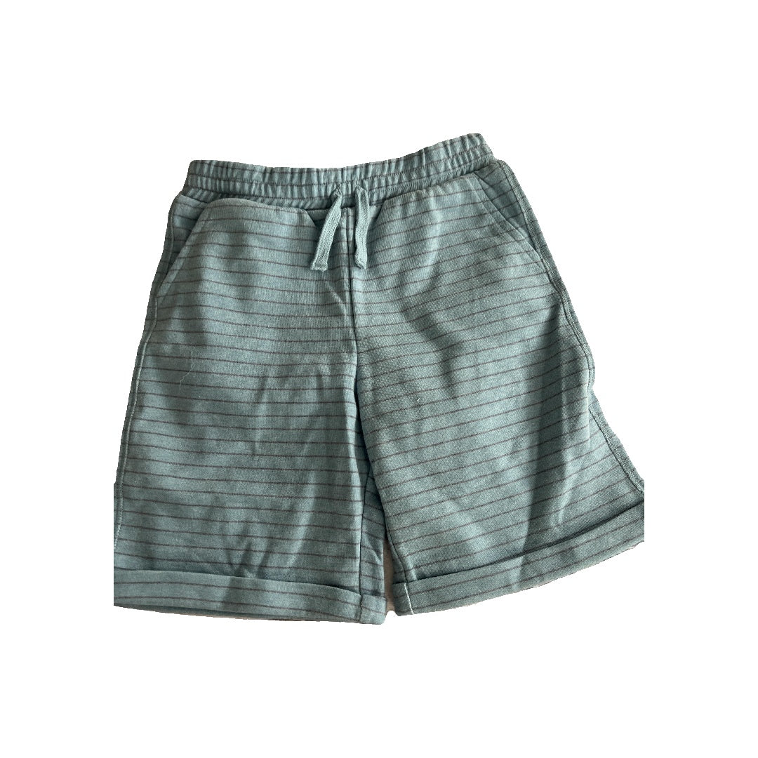 Splendid Boys Light Blue Shorts Size: 4T Light Blue