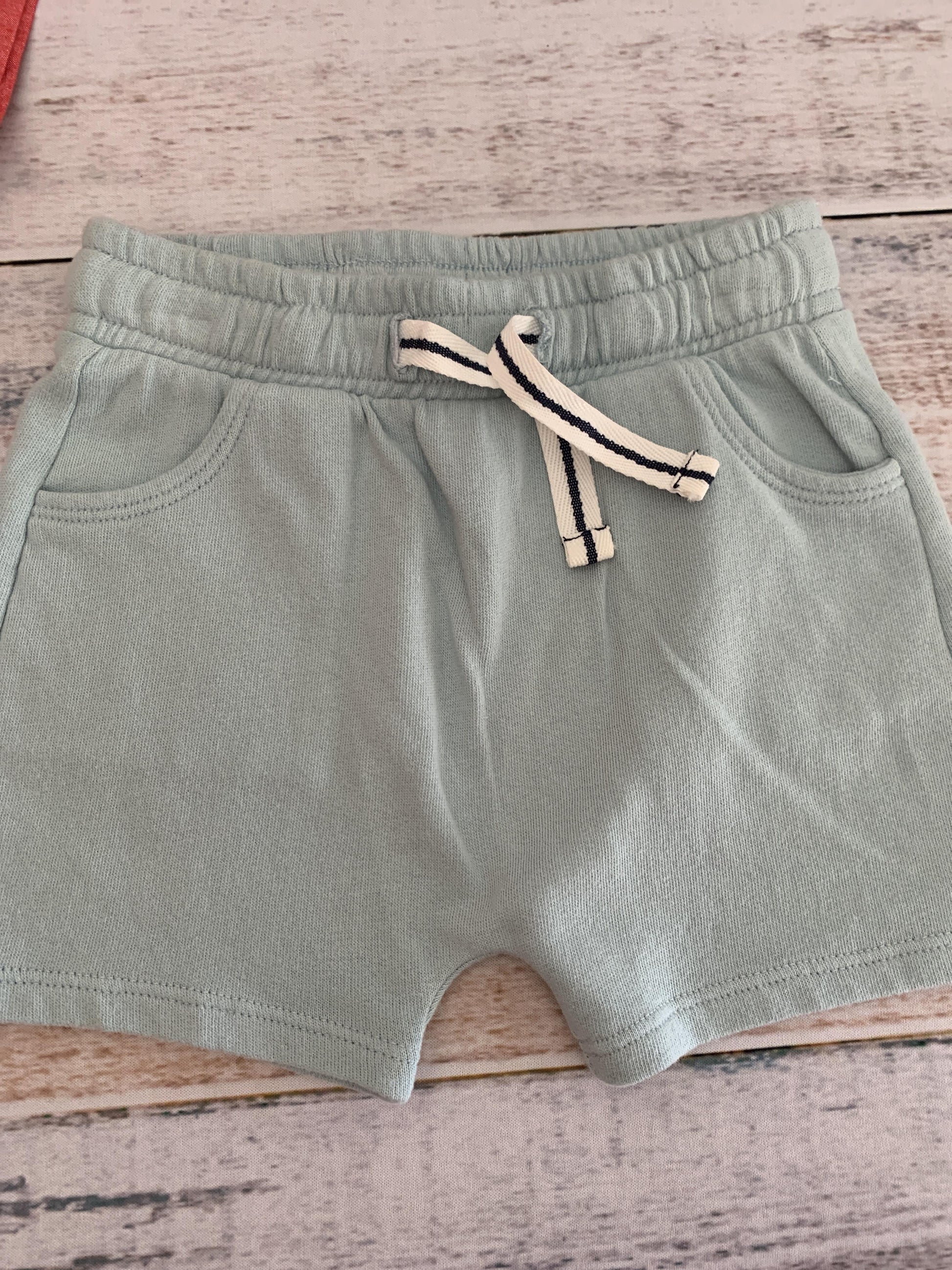 Tucker + Tate Boys Light Blue Shorts Size: 12M Light Blue