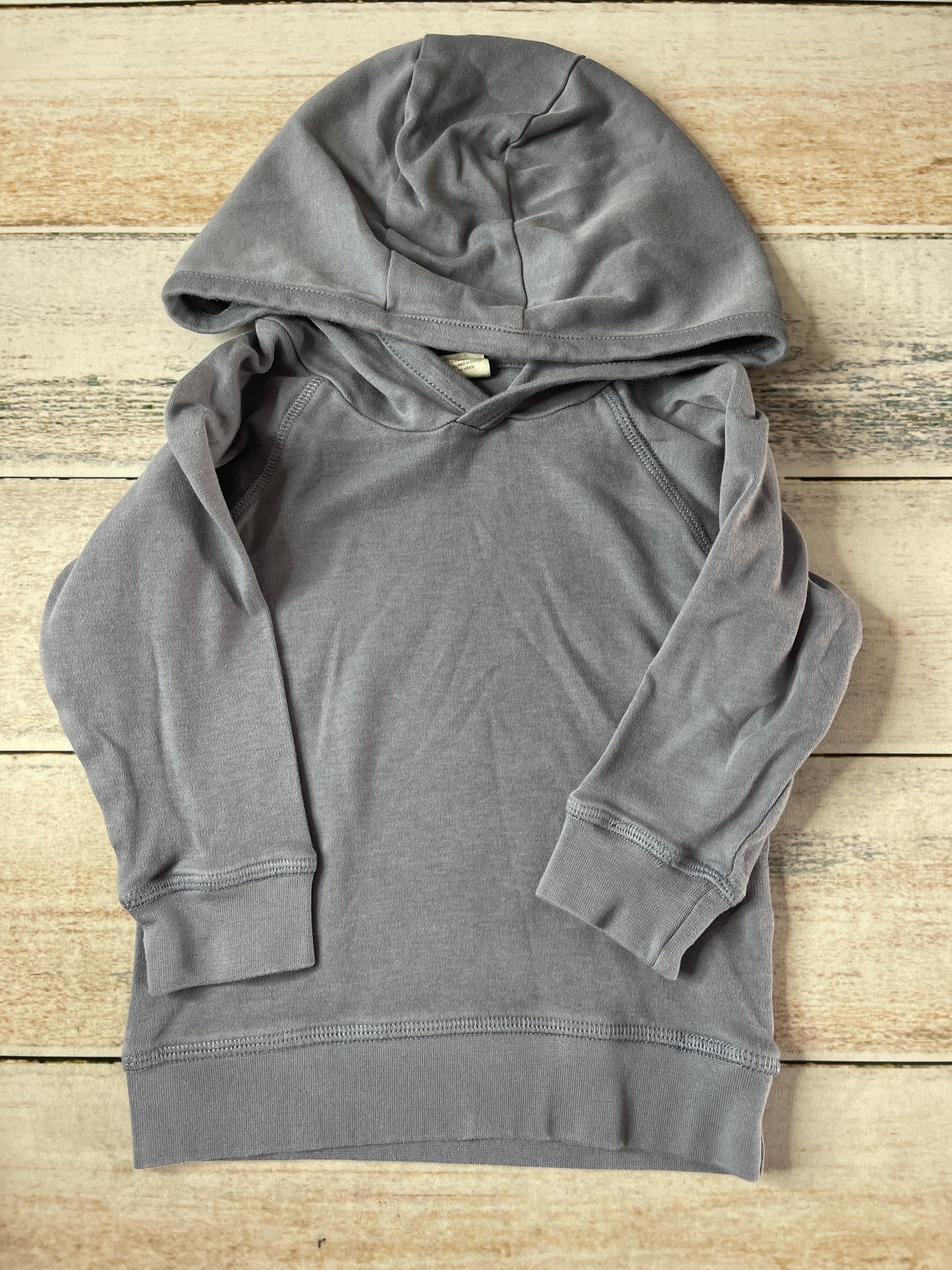 Colored Organics Unisex Light Blue Hoodie Size: 18-24 months Light Blue