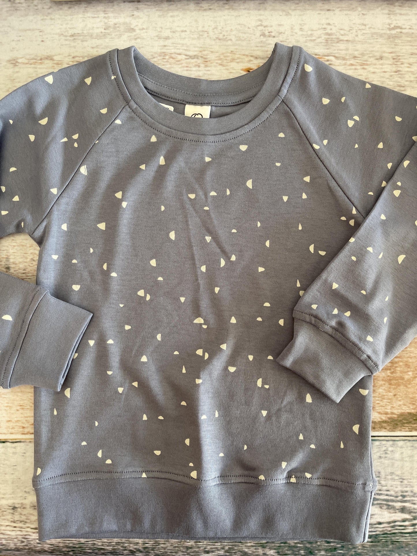 Colored Organics Boys Light Blue Sweater Size: 18-24 months Light Blue