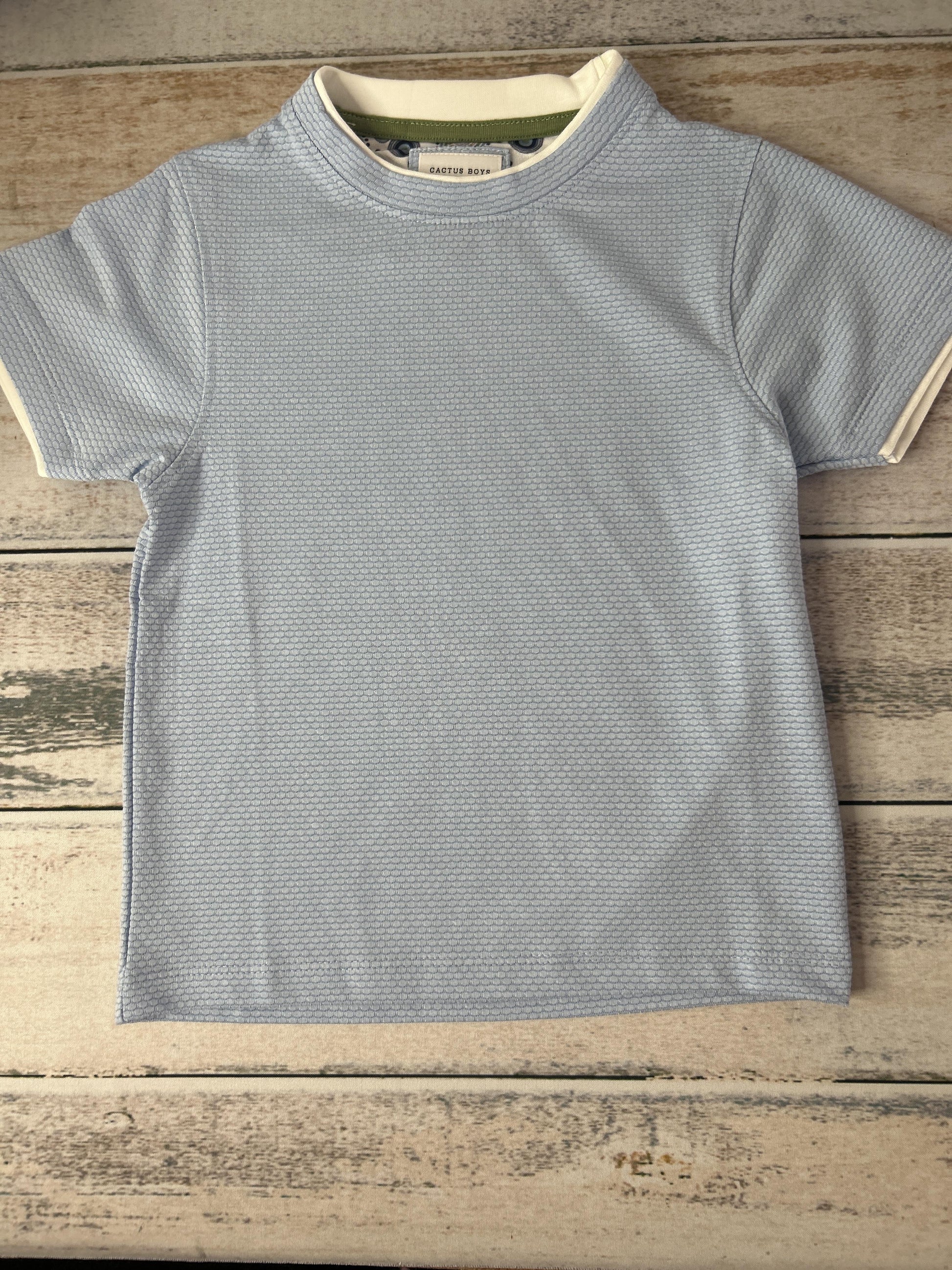 Boys Light Blue T-Shirt Size: 4T Light Blue