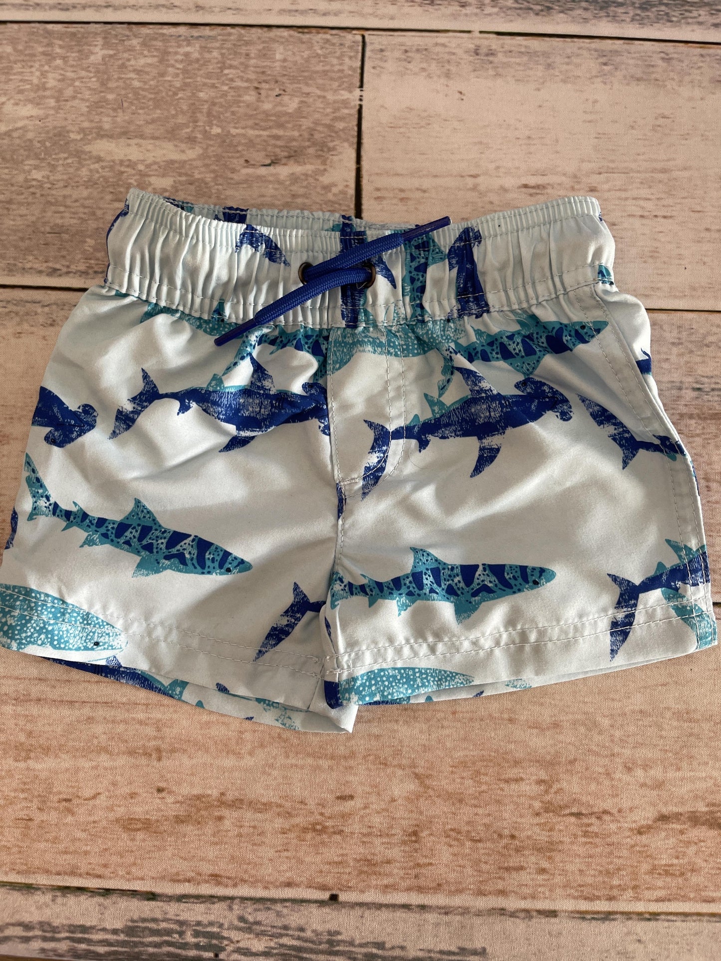 Carters Boys Light Blue Swimwear Size: 3-6 months Light Blue