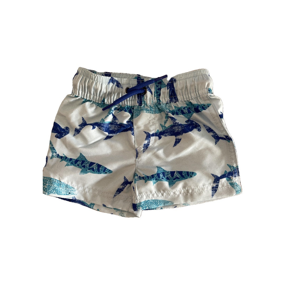 Carters Boys Light Blue Swimwear Size: 3-6 months Light Blue