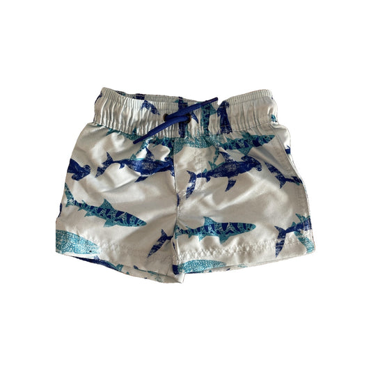 Carters Boys Light Blue Swimwear Size: 3-6 months Light Blue