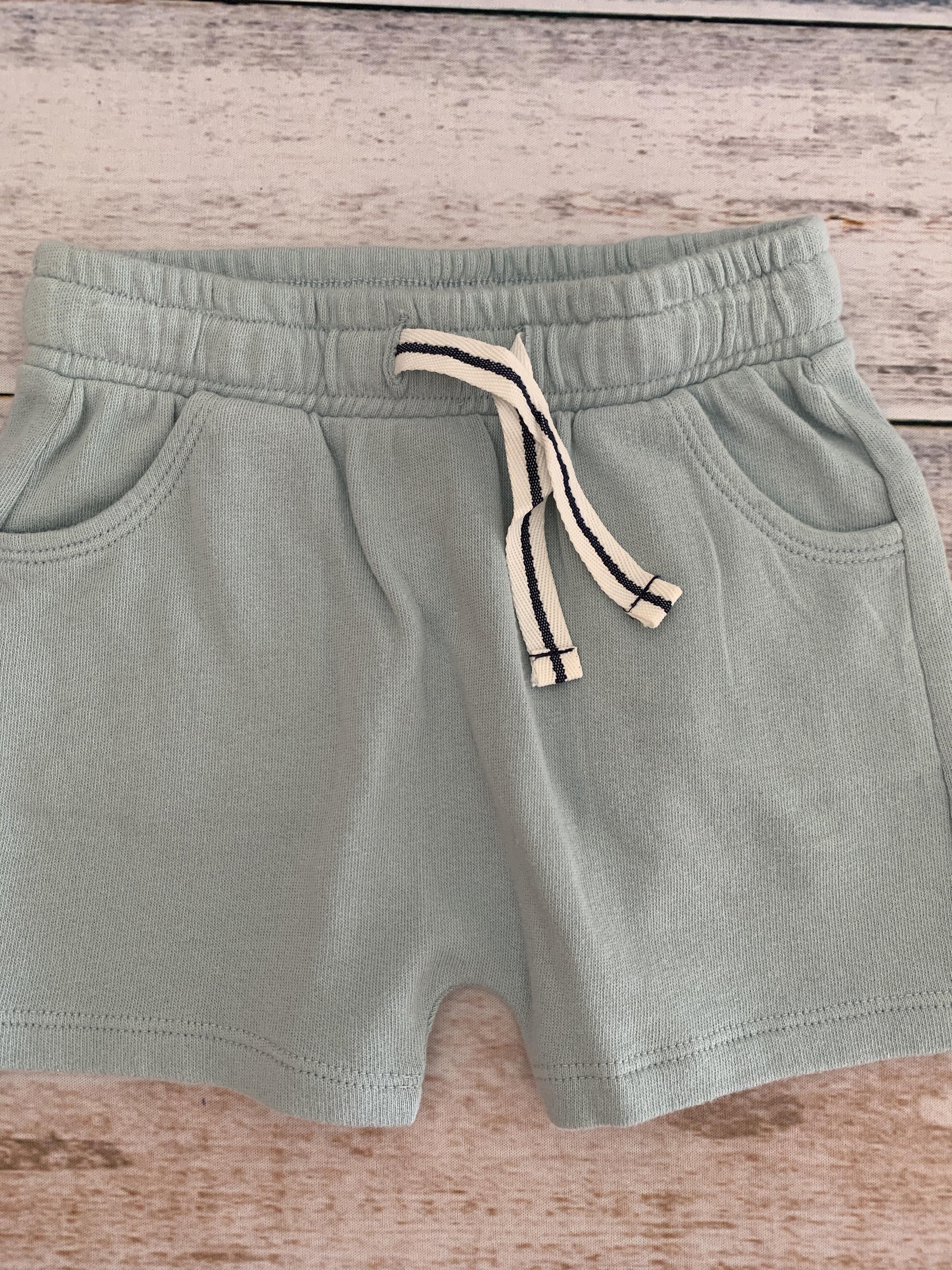 Tucker + Tate Boys Light Blue Shorts Size: 12M Light Blue