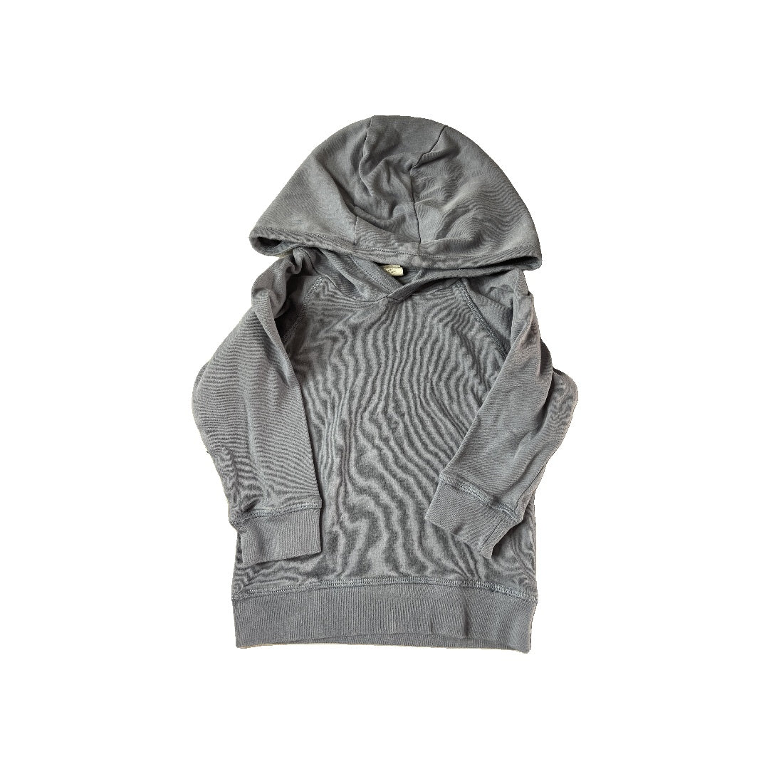 Colored Organics Unisex Light Blue Hoodie Size: 18-24 months Light Blue