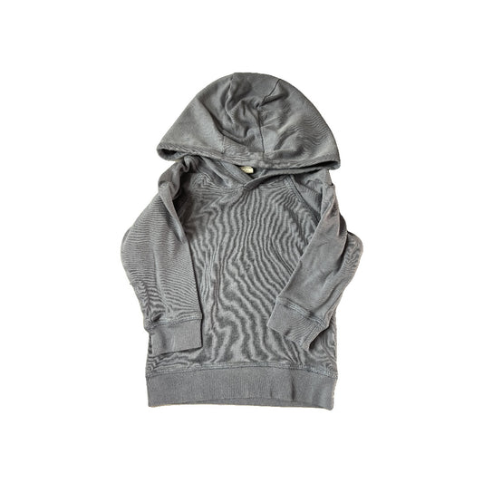 Colored Organics Unisex Light Blue Hoodie Size: 18-24 months Light Blue