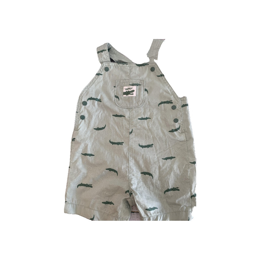 Carters Boys light green | alligators Overalls Size: 9 months light green | alligators
