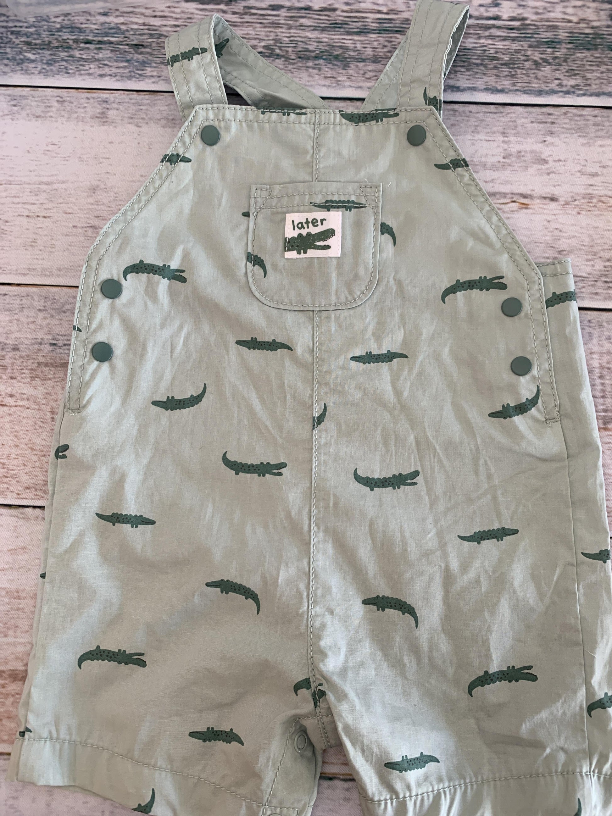 Carters Boys light green | alligators Overalls Size: 9 months light green | alligators