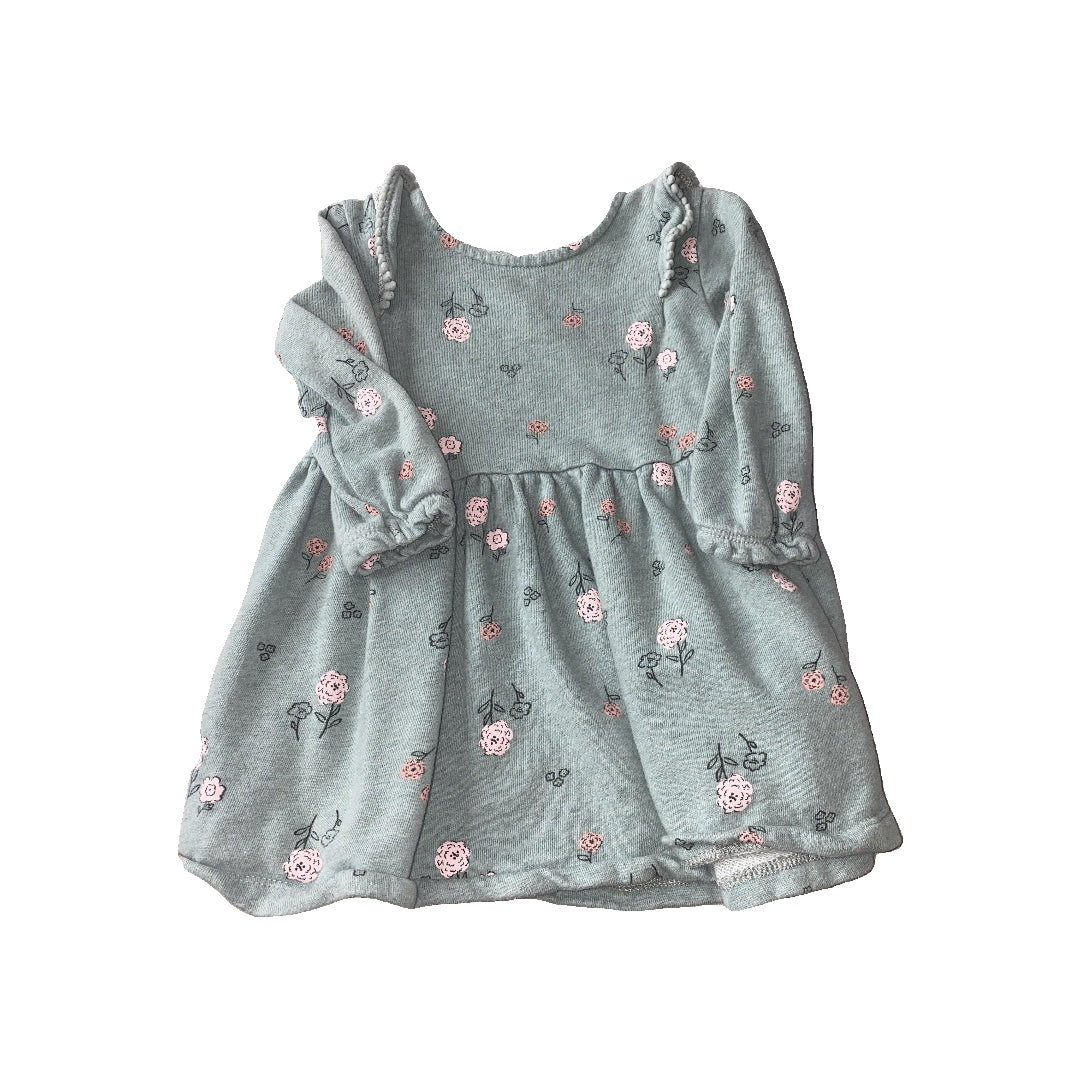 Carters Girls light green | Pink floral Dress Size: 18 months light green | Pink floral