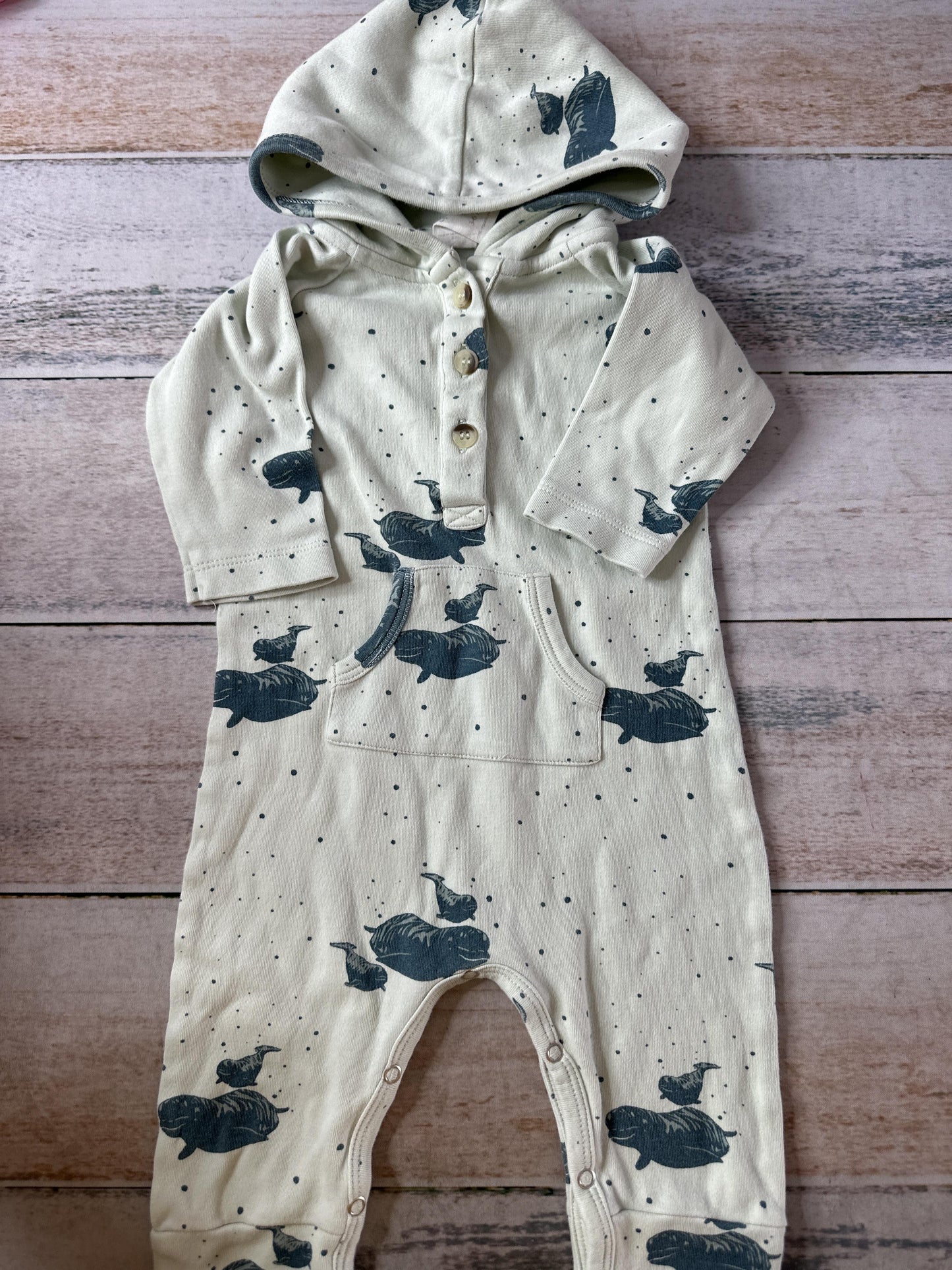 Kate Quinn Unisex light green | whales Swimwear Size: 3-6 months light green | whales