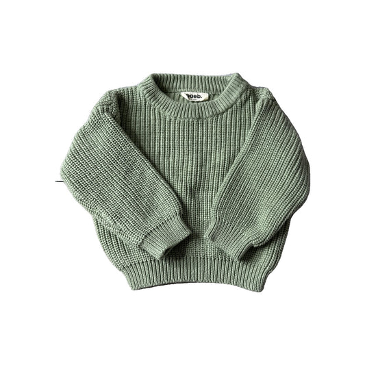 Baeb Basics Unisex light green Sweater Size: 12-24 months light green