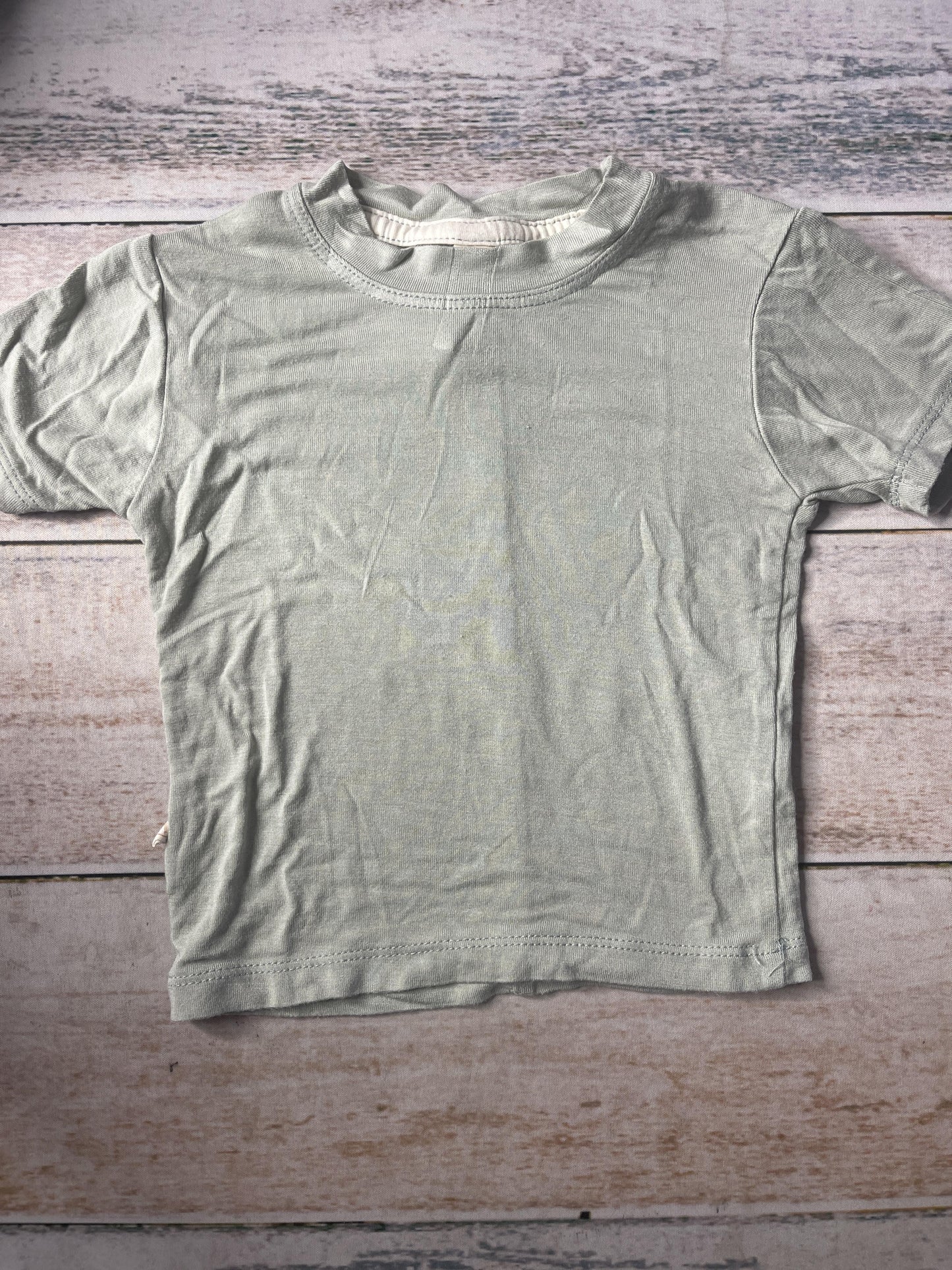 Tenth + Pine Unisex light green T-Shirt Size: 3-6 months light green