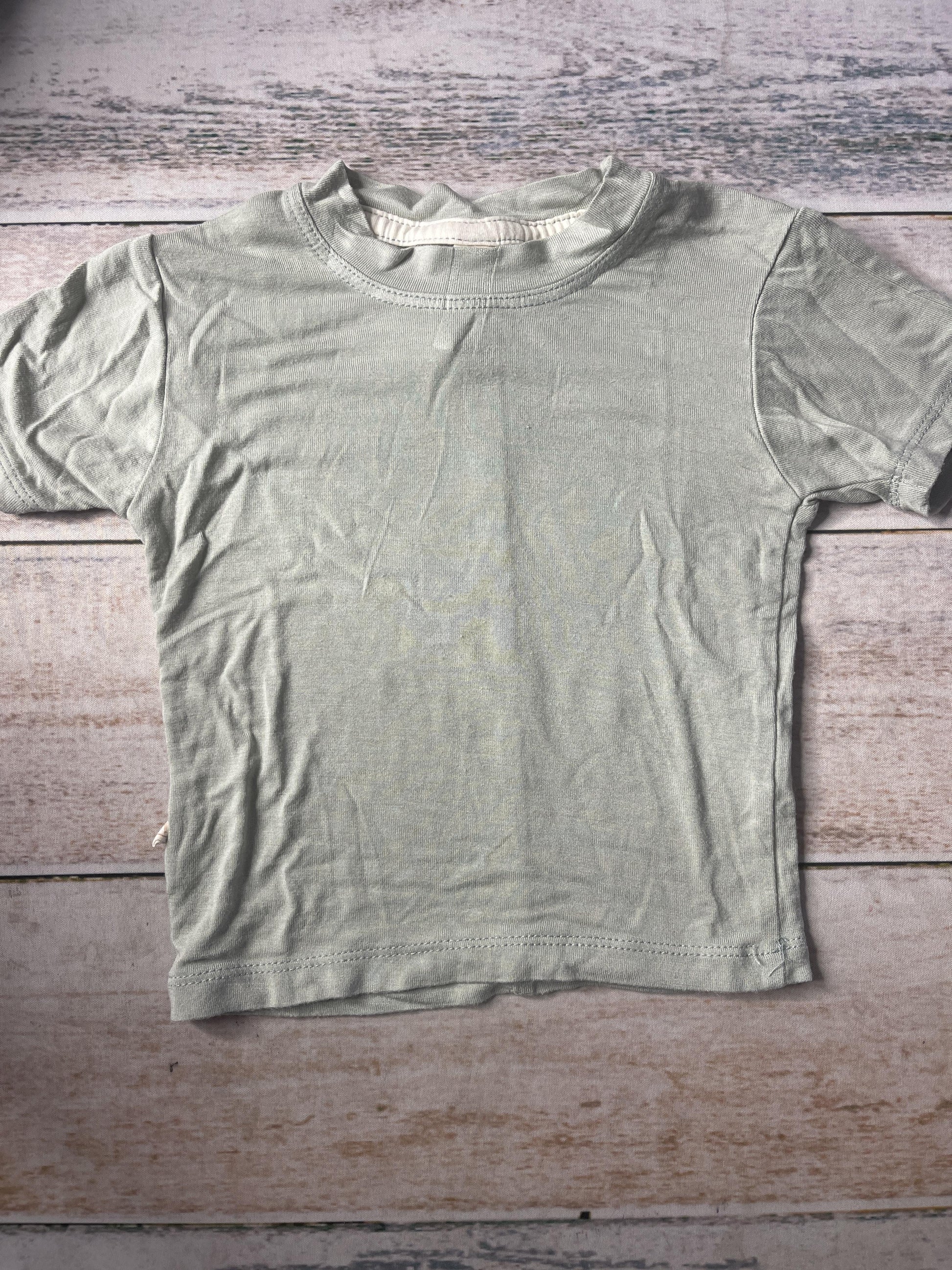 Tenth + Pine Unisex light green T-Shirt Size: 3-6 months light green