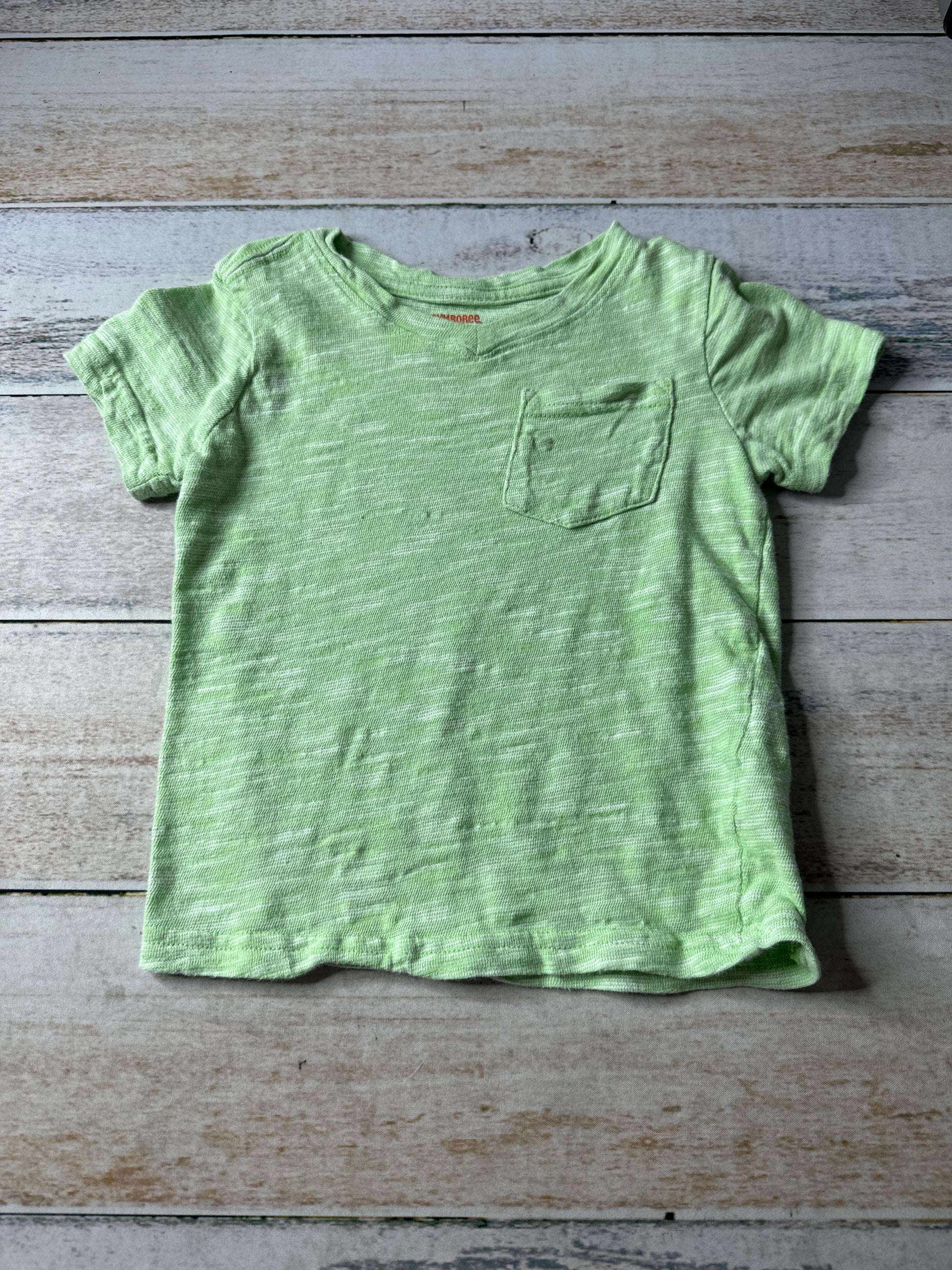 Gymboree Boys light green T-Shirt Size: 2T light green