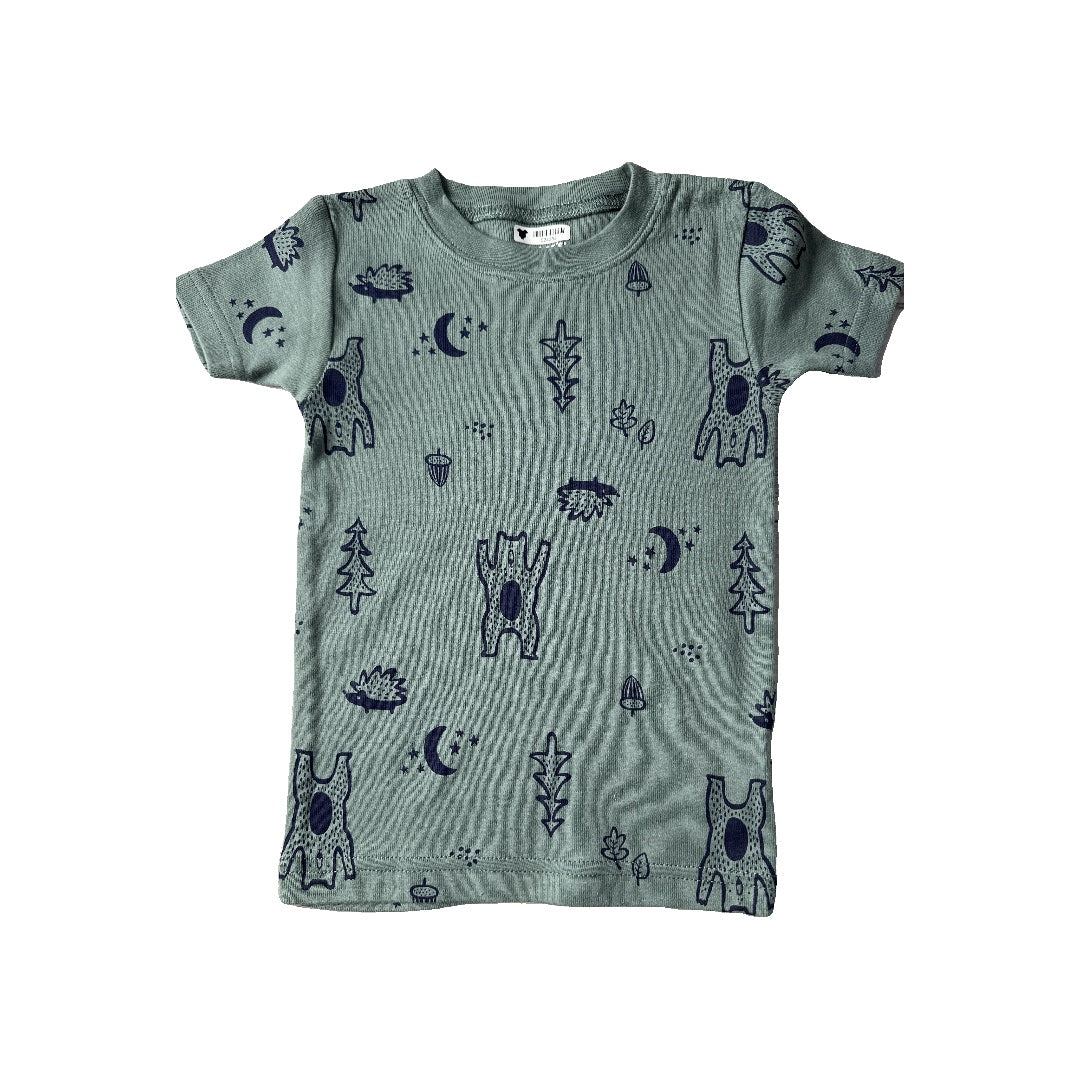 Carters Boys light green Pajamas Size: 2T light green