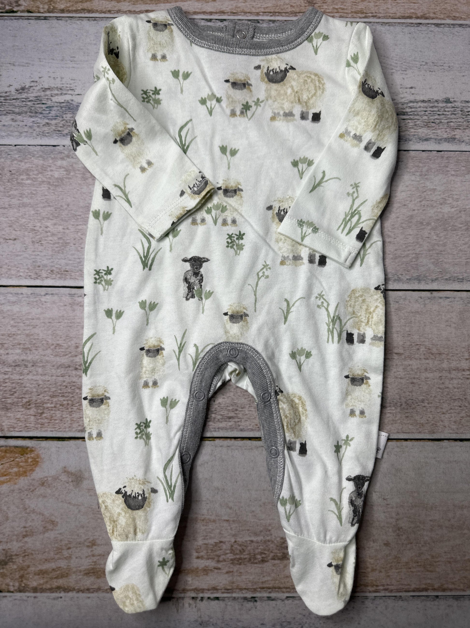 Burt's Bees Unisex light green Long Sleeve Outfit Size: Newborn light green