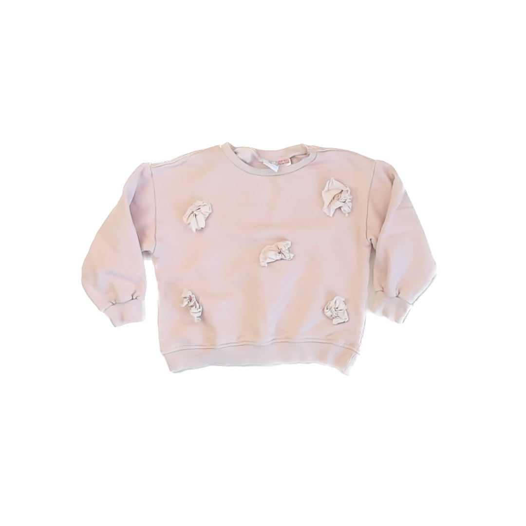 Zara Girls Light PInk Sweatshirt Size: 4-5T Light PInk