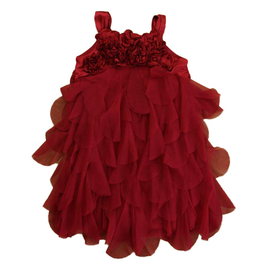 Biscotti Girls Maroon Dress Size: 4T Maroon