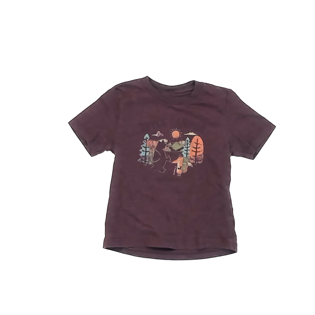 Unknown Boys Maroon T-Shirt Size: 3T Maroon