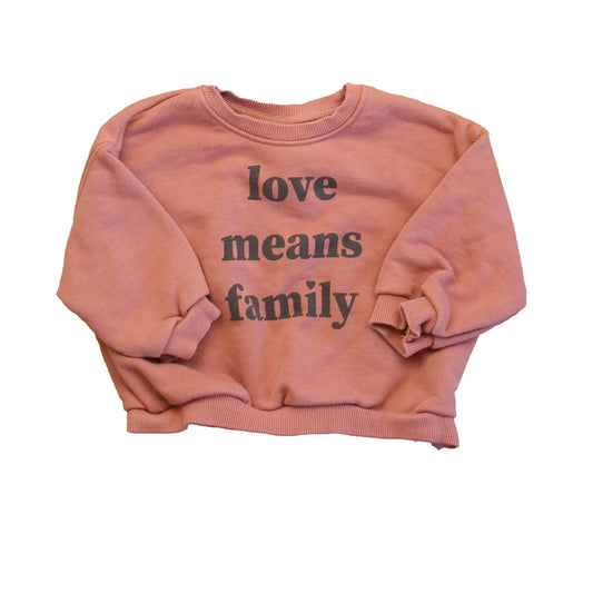 Zara Girls Mauve Sweatshirt Size: 9-12 Months