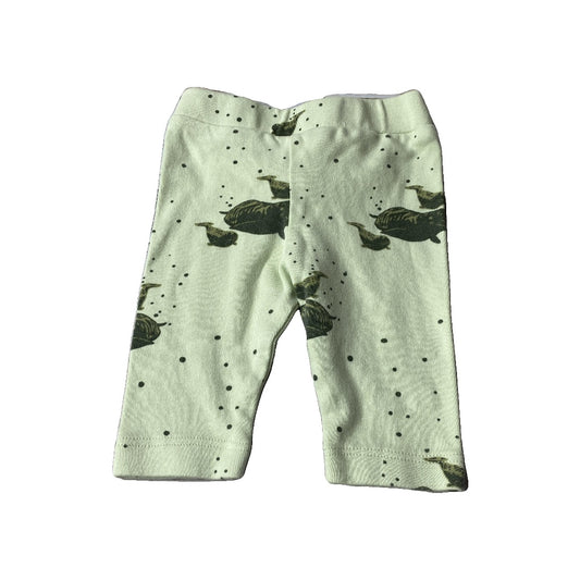 Kate Quinn Unisex Mint | Sea Animals Pants Size: 0-3 months Mint | Sea Animals
