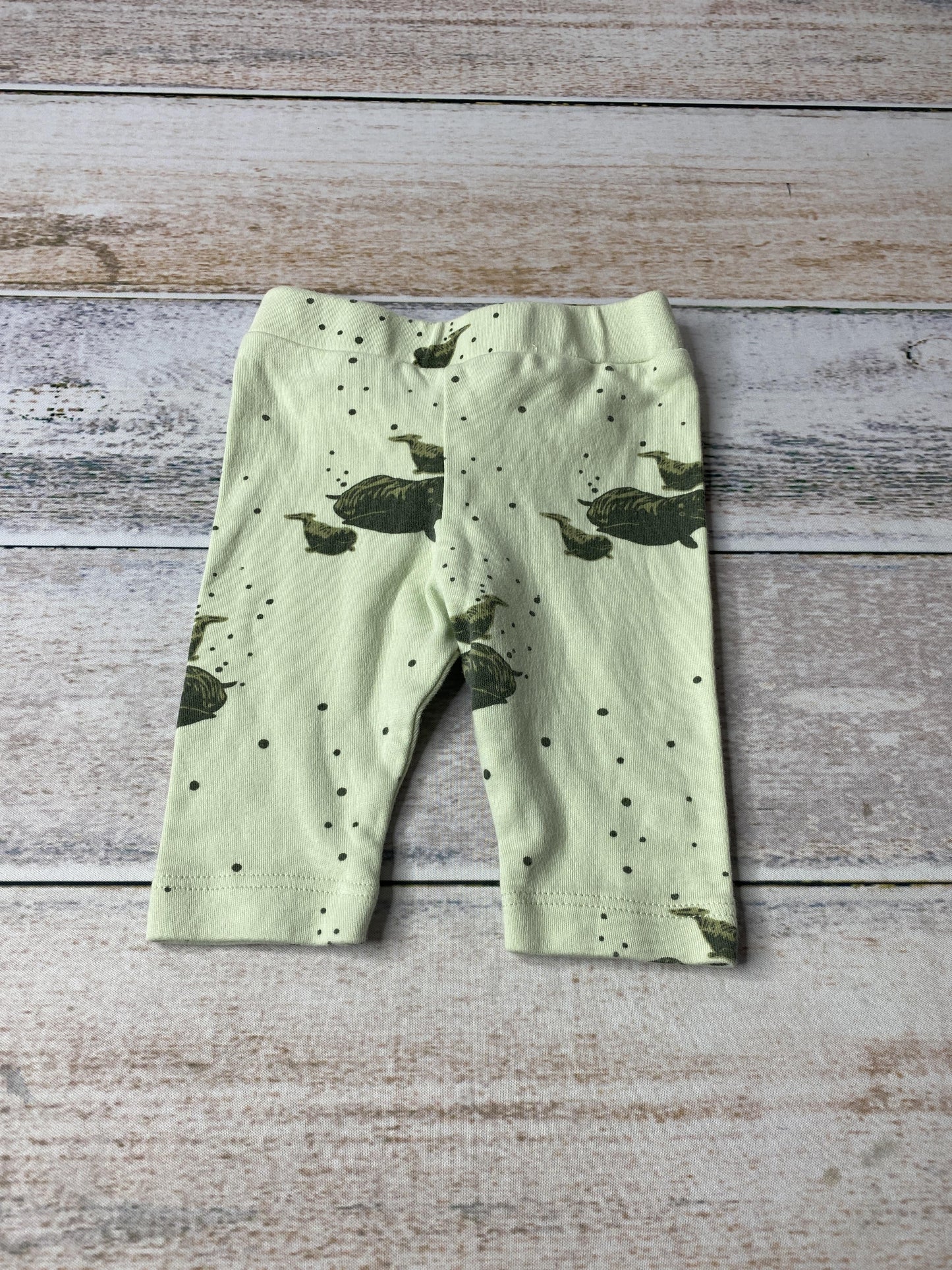 Kate Quinn Unisex Mint | Sea Animals Pants Size: 0-3 months Mint | Sea Animals