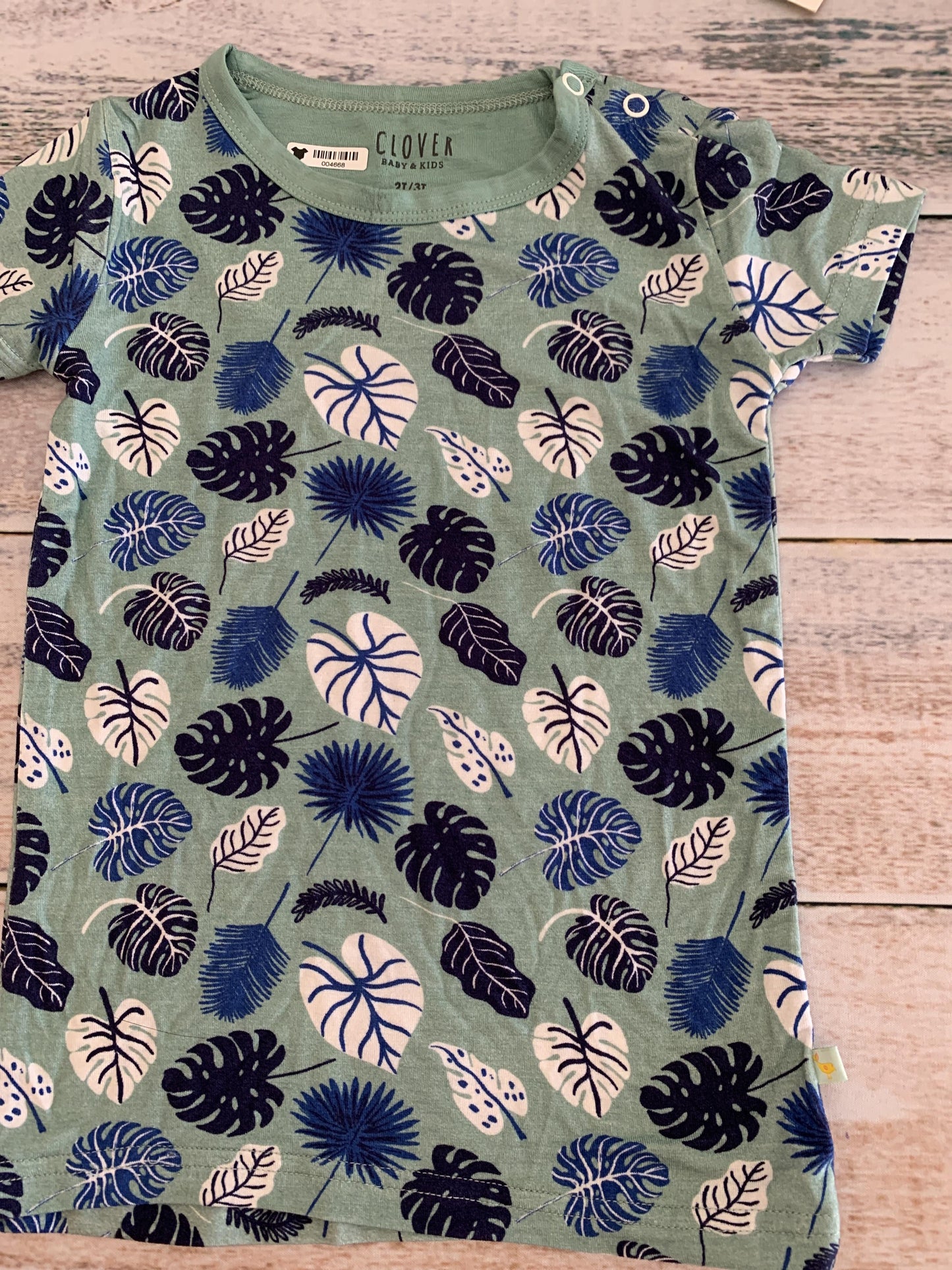 Clover Baby & Kids Boys Mint | Tropical Pajamas Size: 2T Mint | Tropical