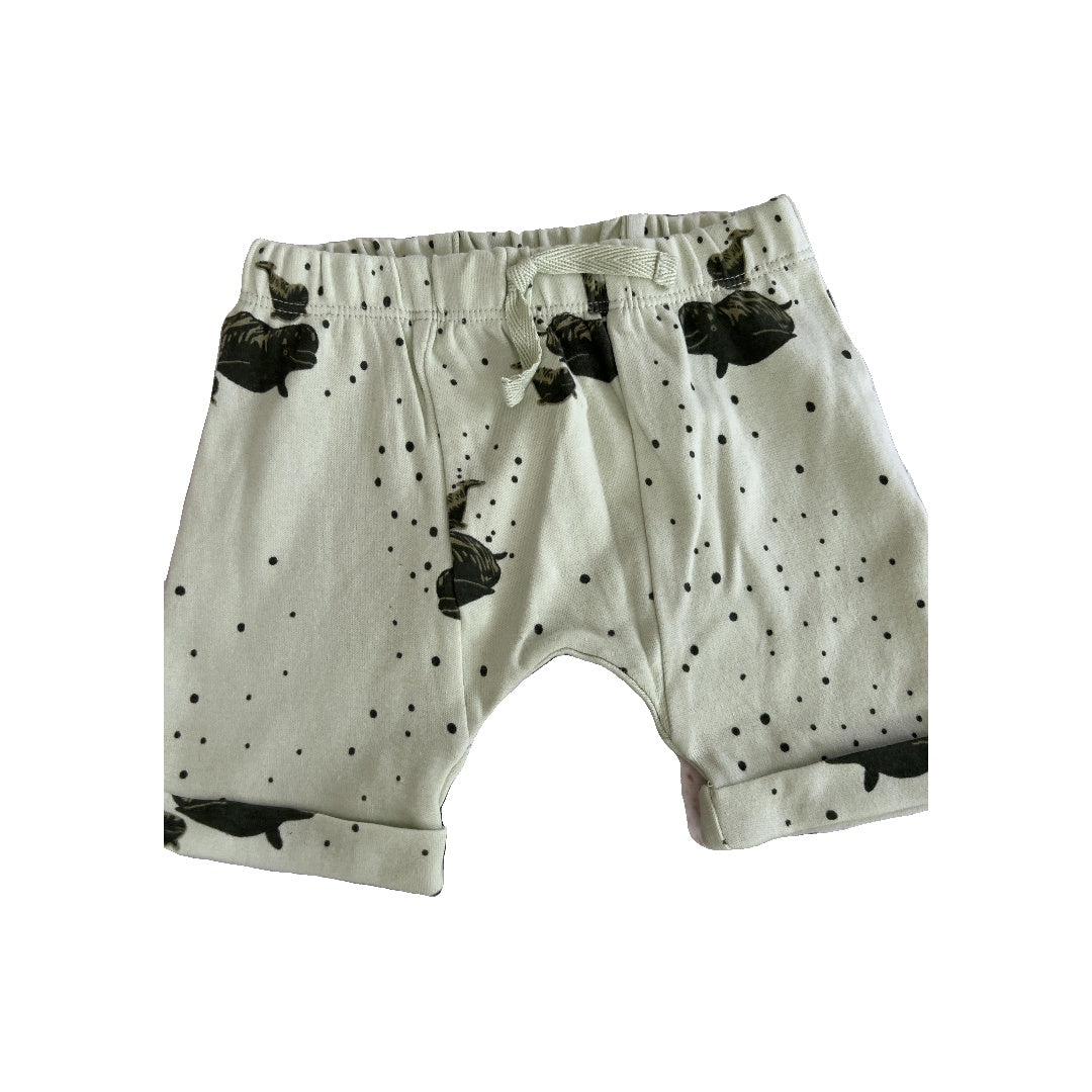 Kate Quinn Unisex Mint | whales Shorts Size: 6-12 months Mint | whales