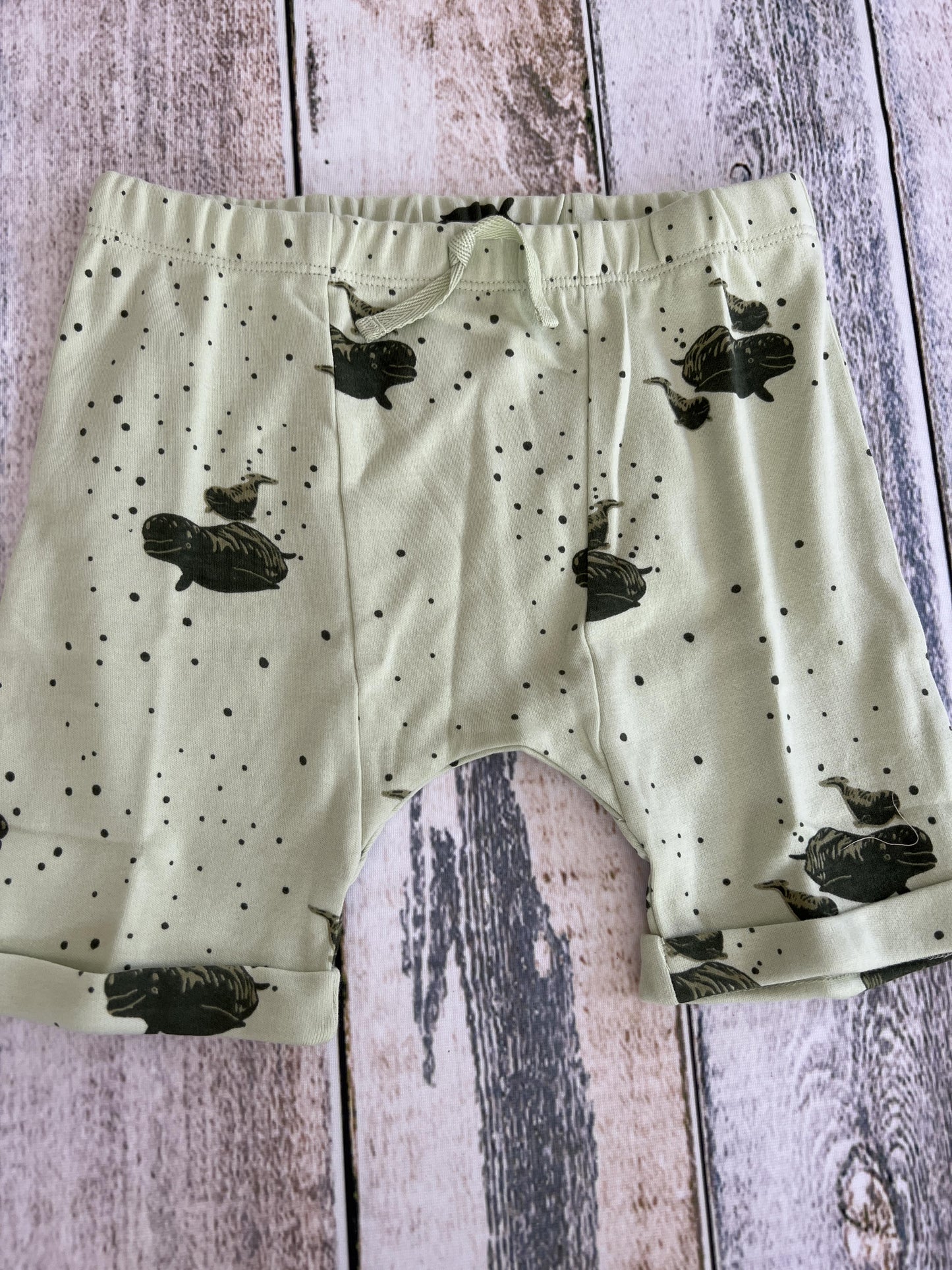 Kate Quinn Unisex Mint | whales Shorts Size: 4T Mint | whales
