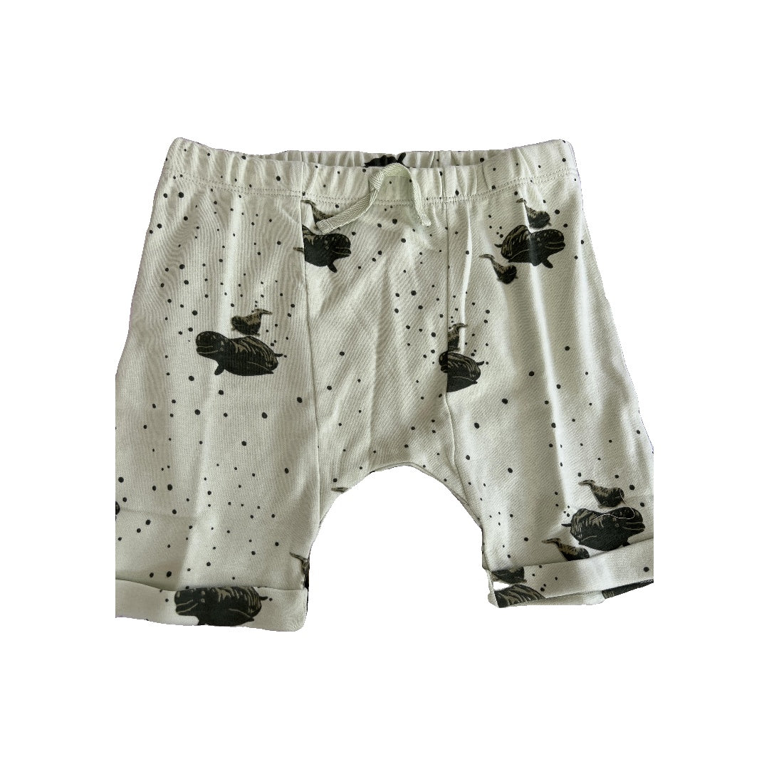 Kate Quinn Unisex Mint | whales Shorts Size: 4T Mint | whales