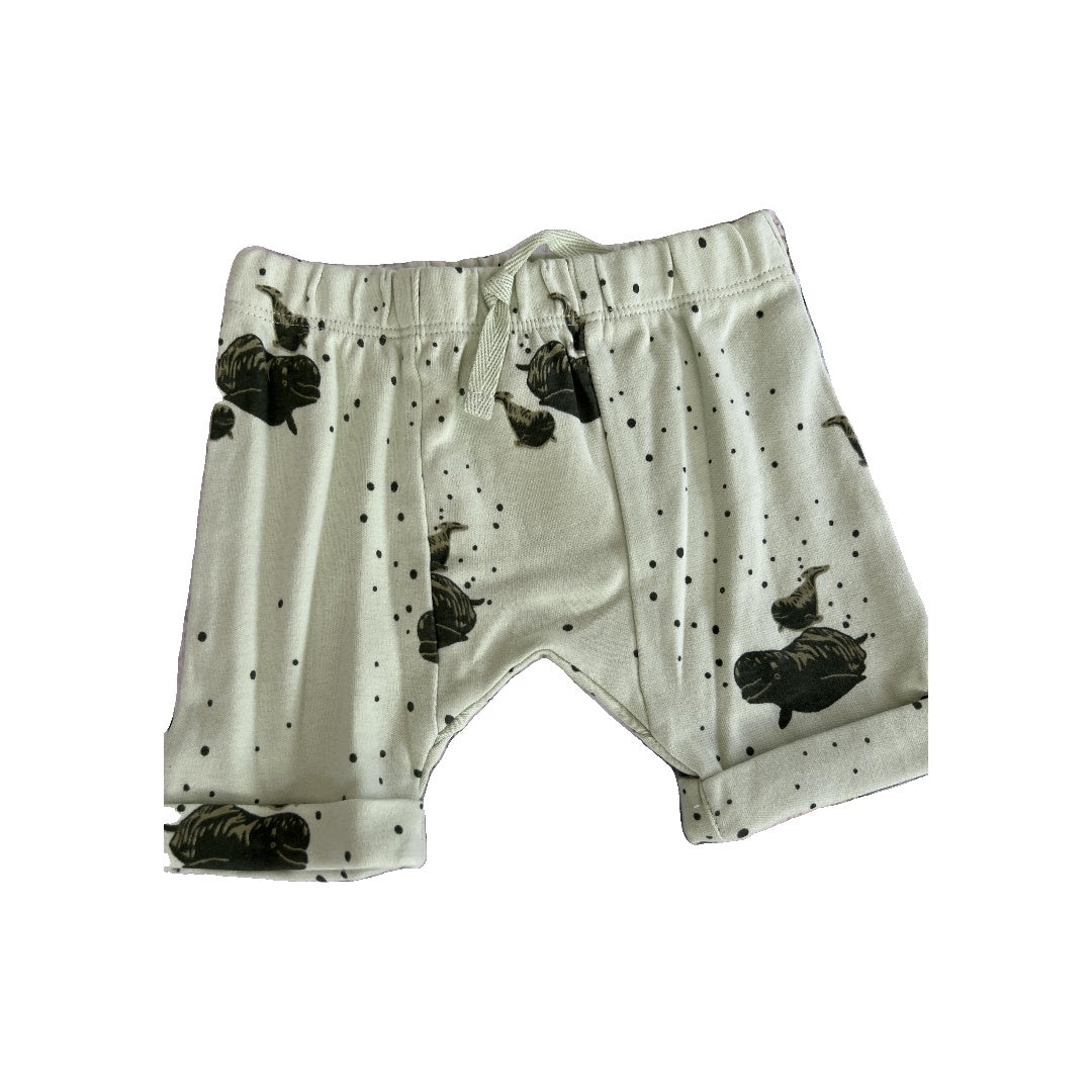 Kate Quinn Unisex Mint | whales Shorts Size: 6-12 months Mint | whales