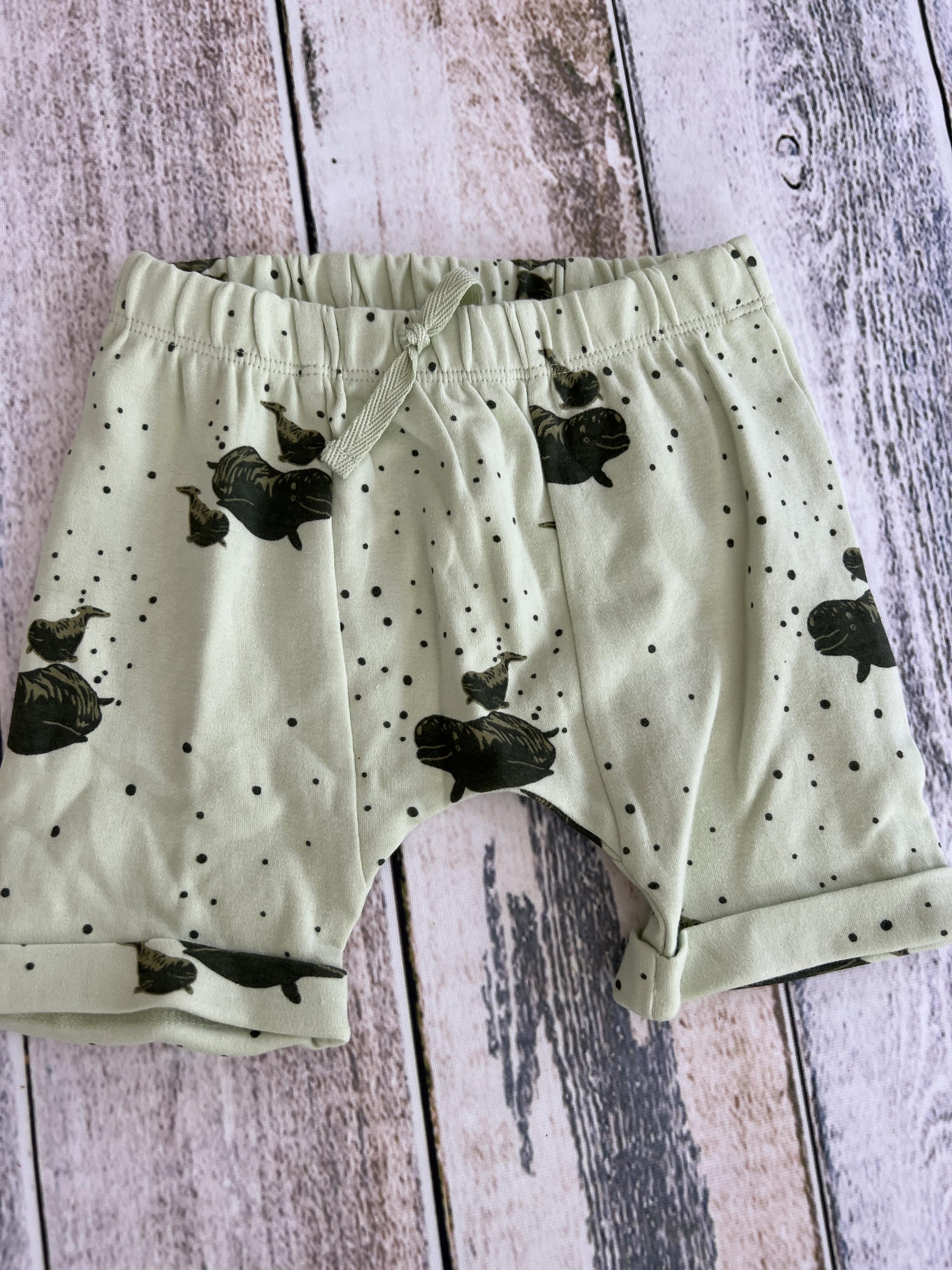 Kate Quinn Unisex Mint | whales Shorts Size: 18-24 months Mint | whales