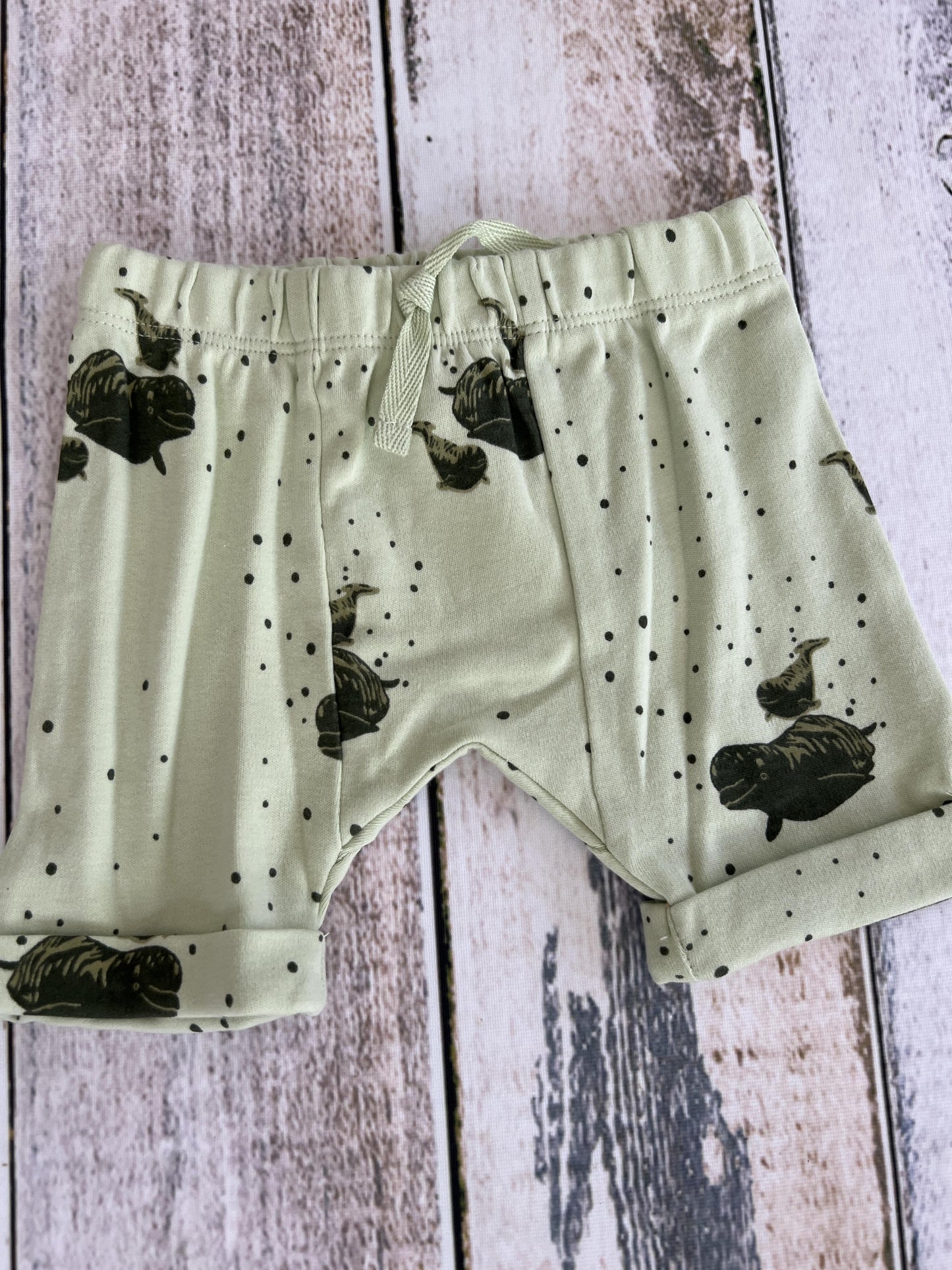 Kate Quinn Unisex Mint | whales Shorts Size: 6-12 months Mint | whales