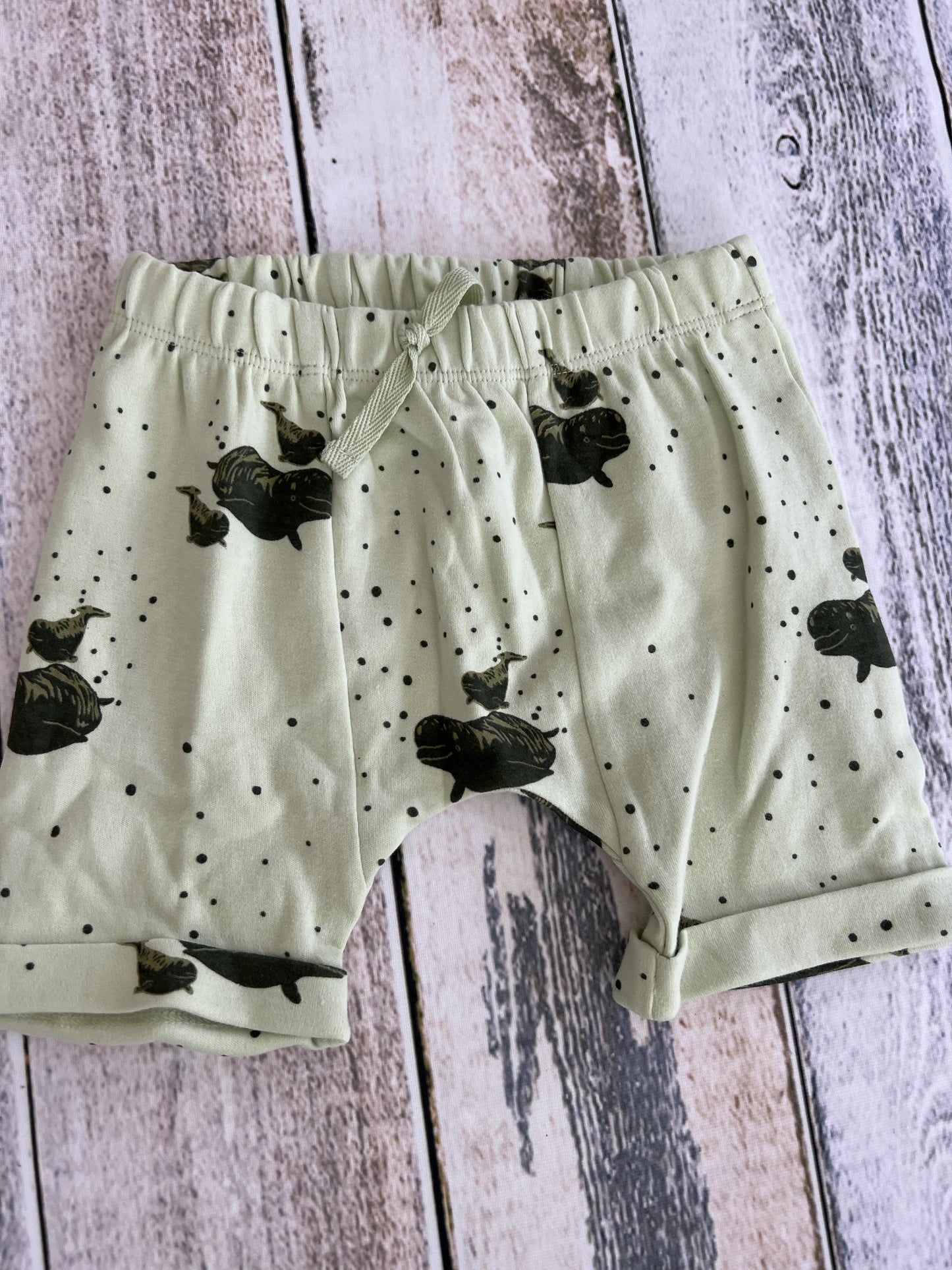 Kate Quinn Unisex Mint | whales Shorts Size: 18-24 months Mint | whales