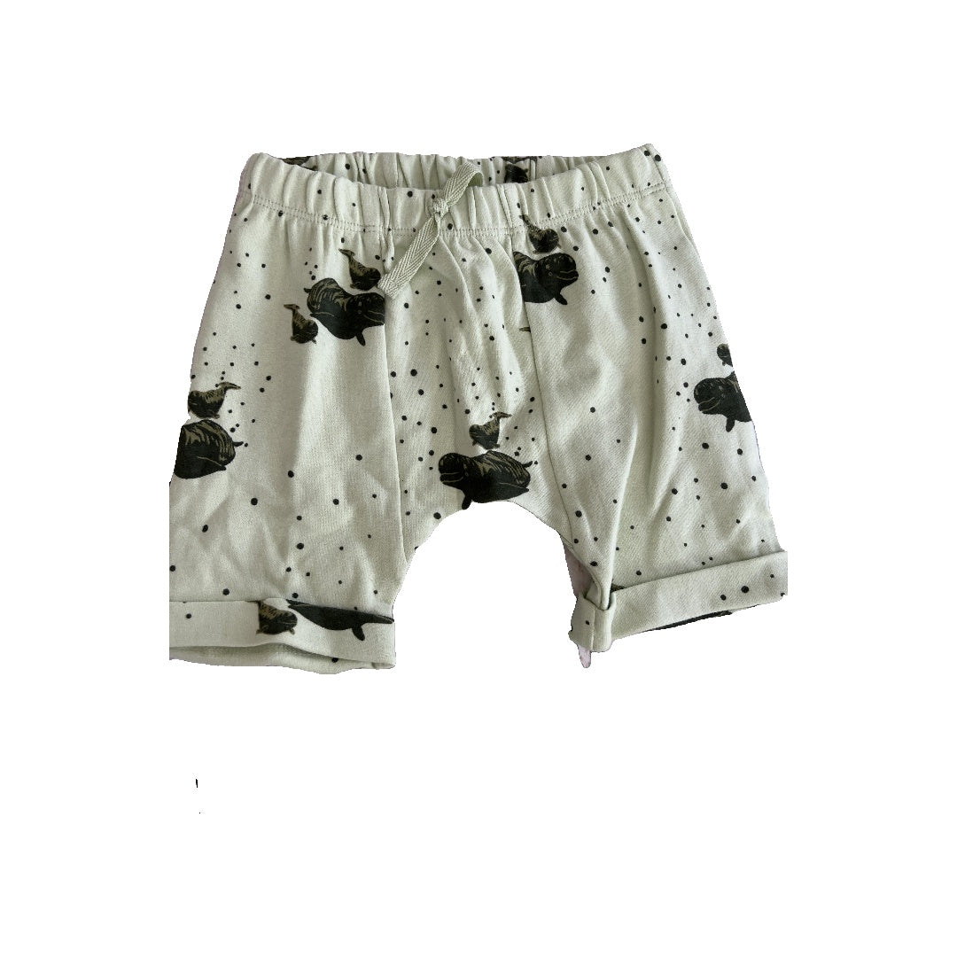 Kate Quinn Unisex Mint | whales Shorts Size: 18-24 months Mint | whales