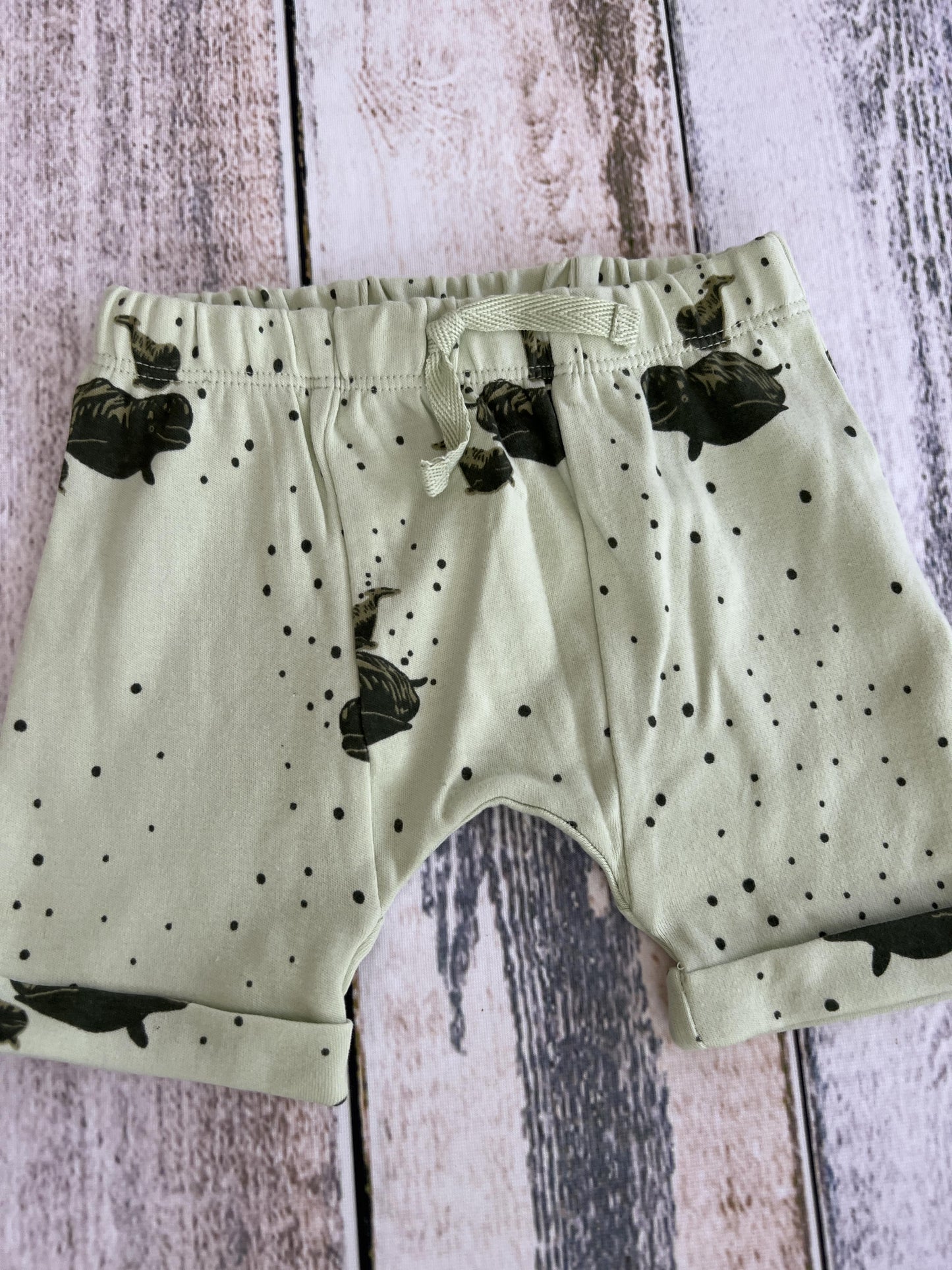 Kate Quinn Unisex Mint | whales Shorts Size: 6-12 months Mint | whales