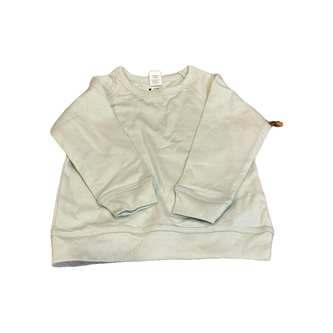 Colored Organics Unisex Mint Sweater Size: 18-24 months Mint