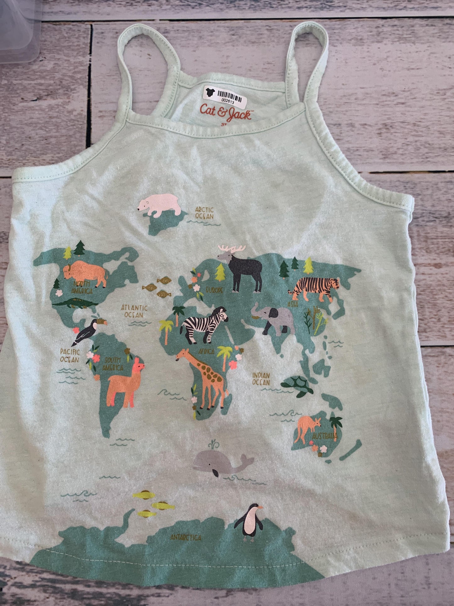 Girls Mint Tank Top Size: 3T Mint
