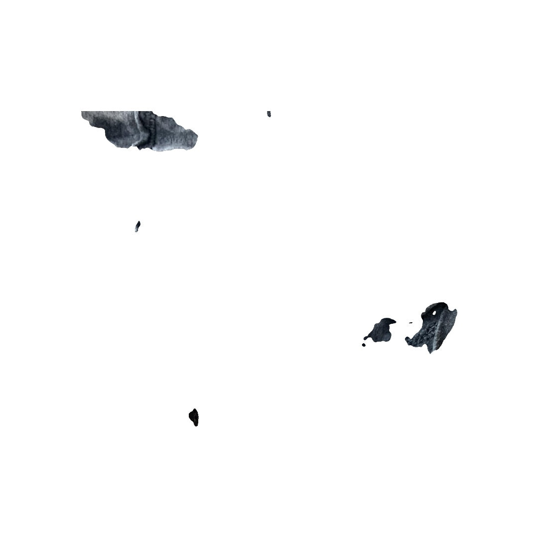 Boys Navy Blue | Indigo | Wool White | Grey Shorts Size: 24 months Navy Blue | Indigo | Wool White | Grey