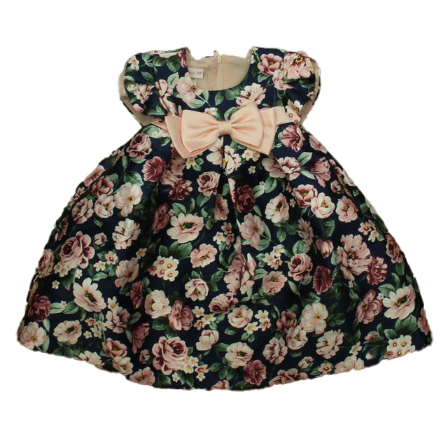 Bonnie Jean Girls Navy | Pink Floral Dress Size: 24 Months