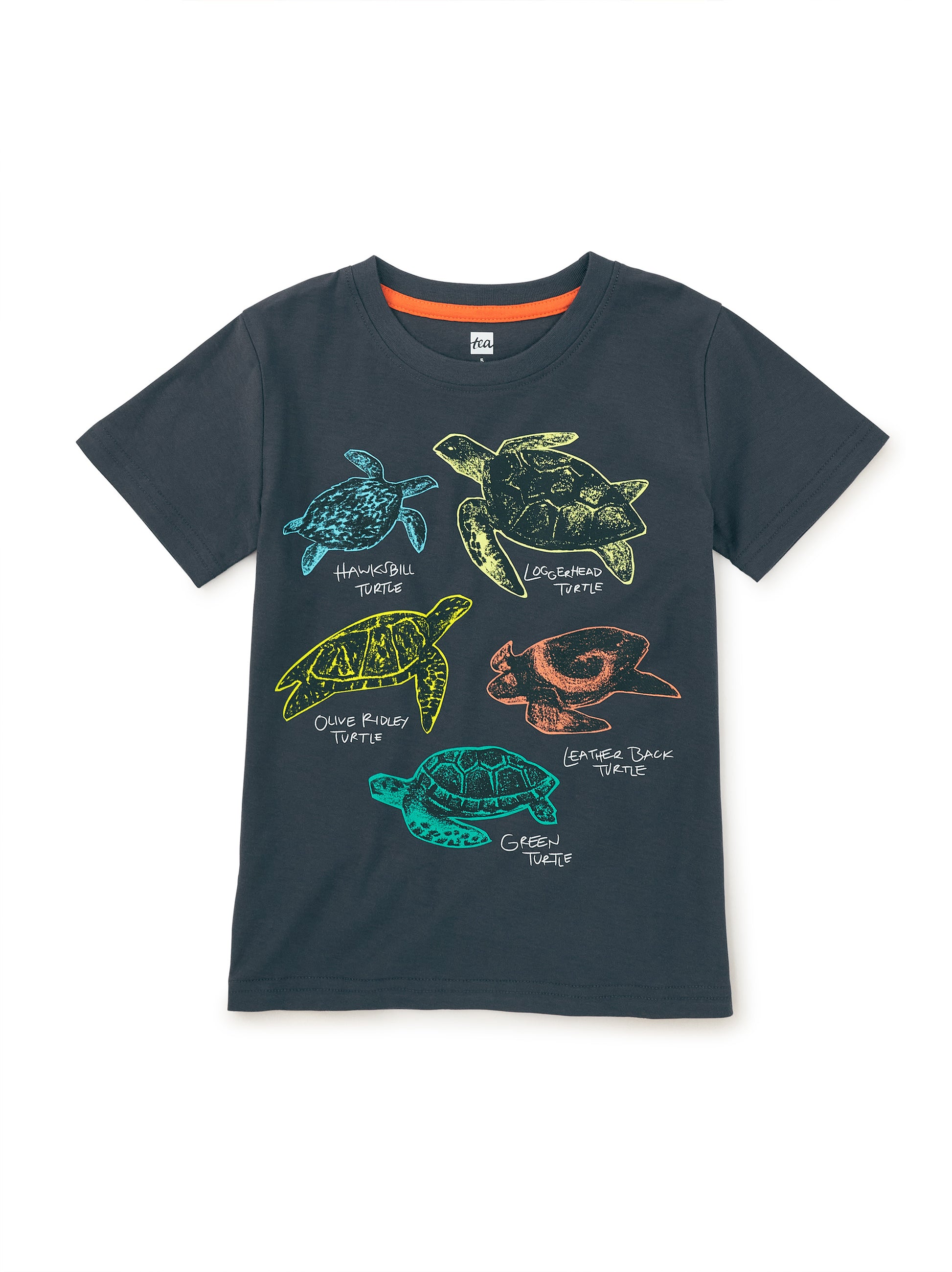 Tea Collection Boys Navy Turtles T-Shirt Size: 3-6 Months Navy Turtles