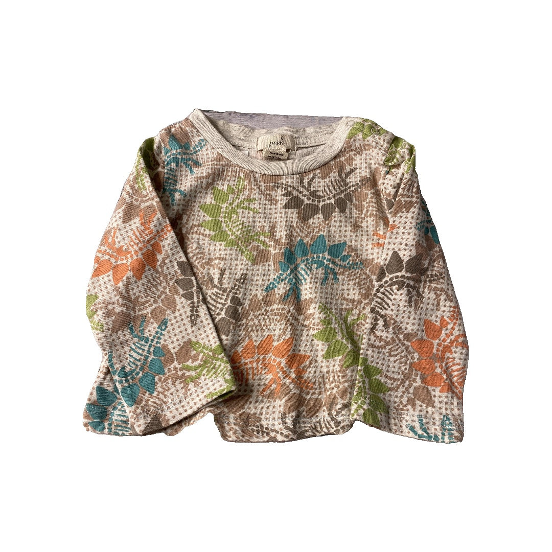Peek Boys orange | Dinosaur Long Sleeve Shirt Size: 6-12 months orange | Dinosaur