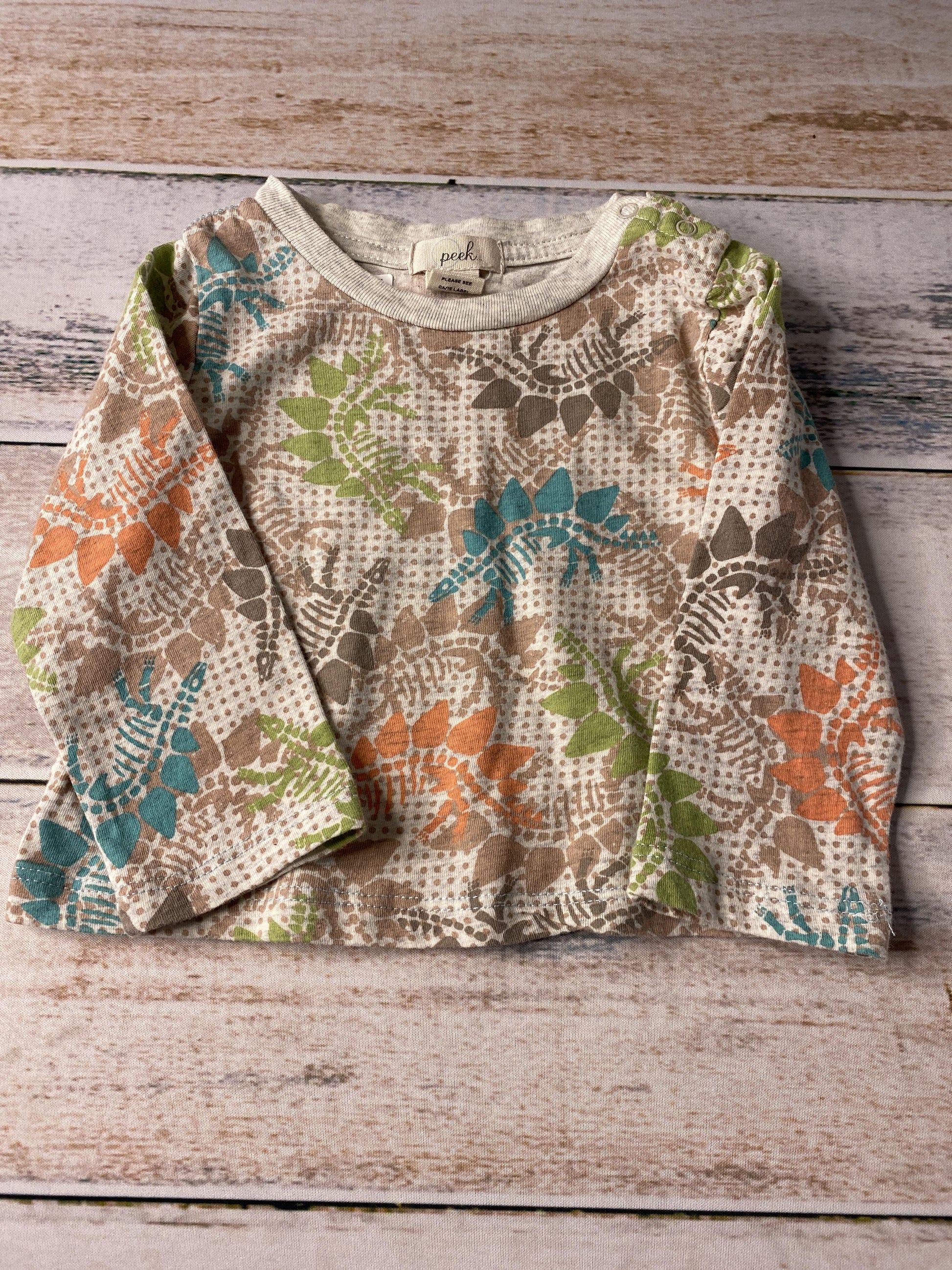 Peek Boys orange | Dinosaur Long Sleeve Shirt Size: 6-12 months orange | Dinosaur