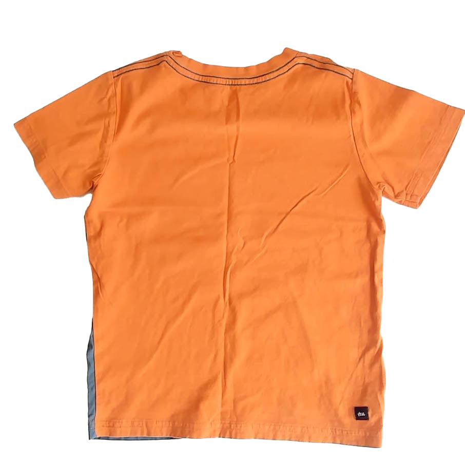 Tea Collection Boys Orange Lion T-Shirt Size: 7 Years Orange Lion